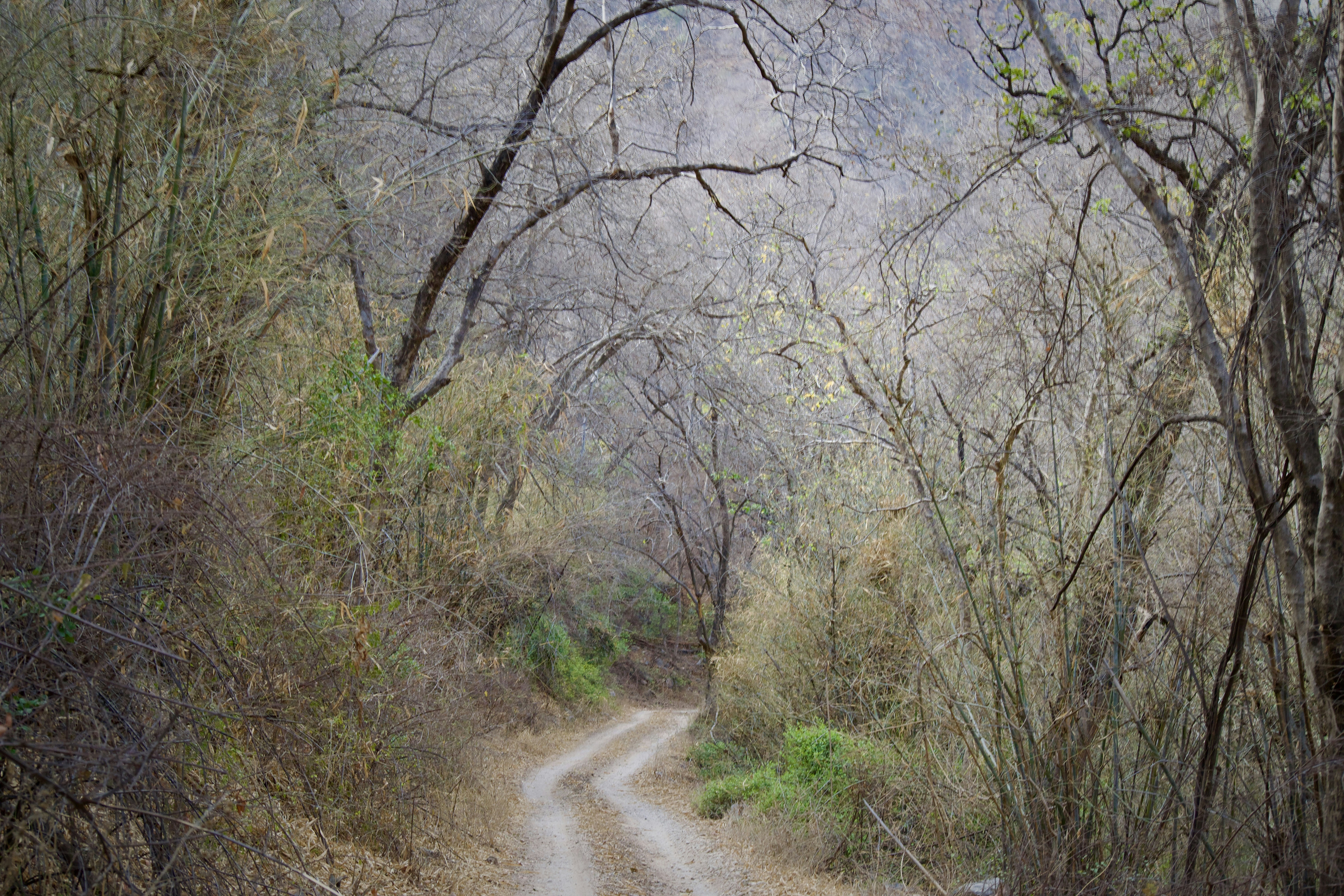 Photo by vivekkkaushik