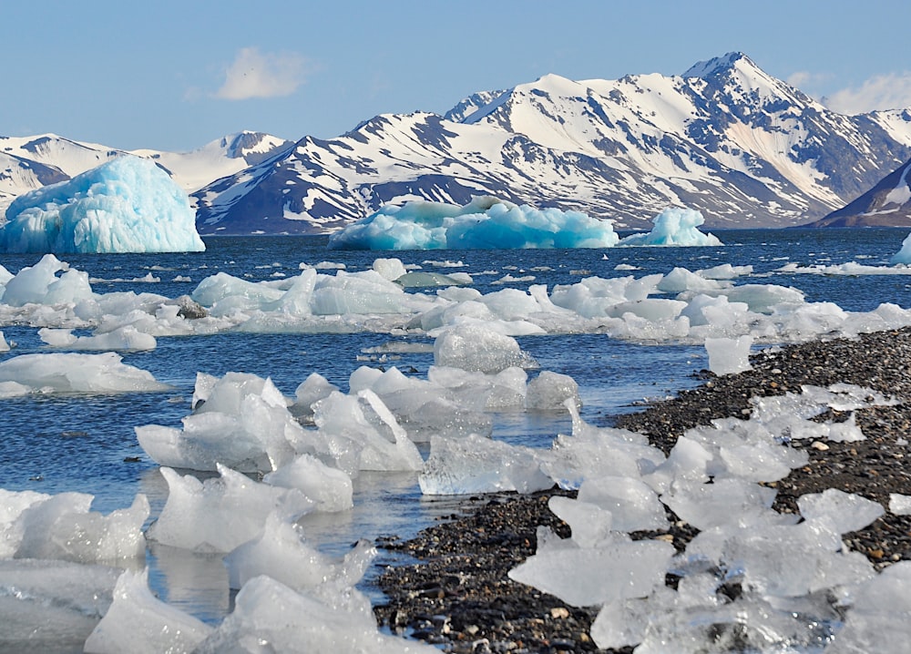 a group of icebergs floating on top of a body of water