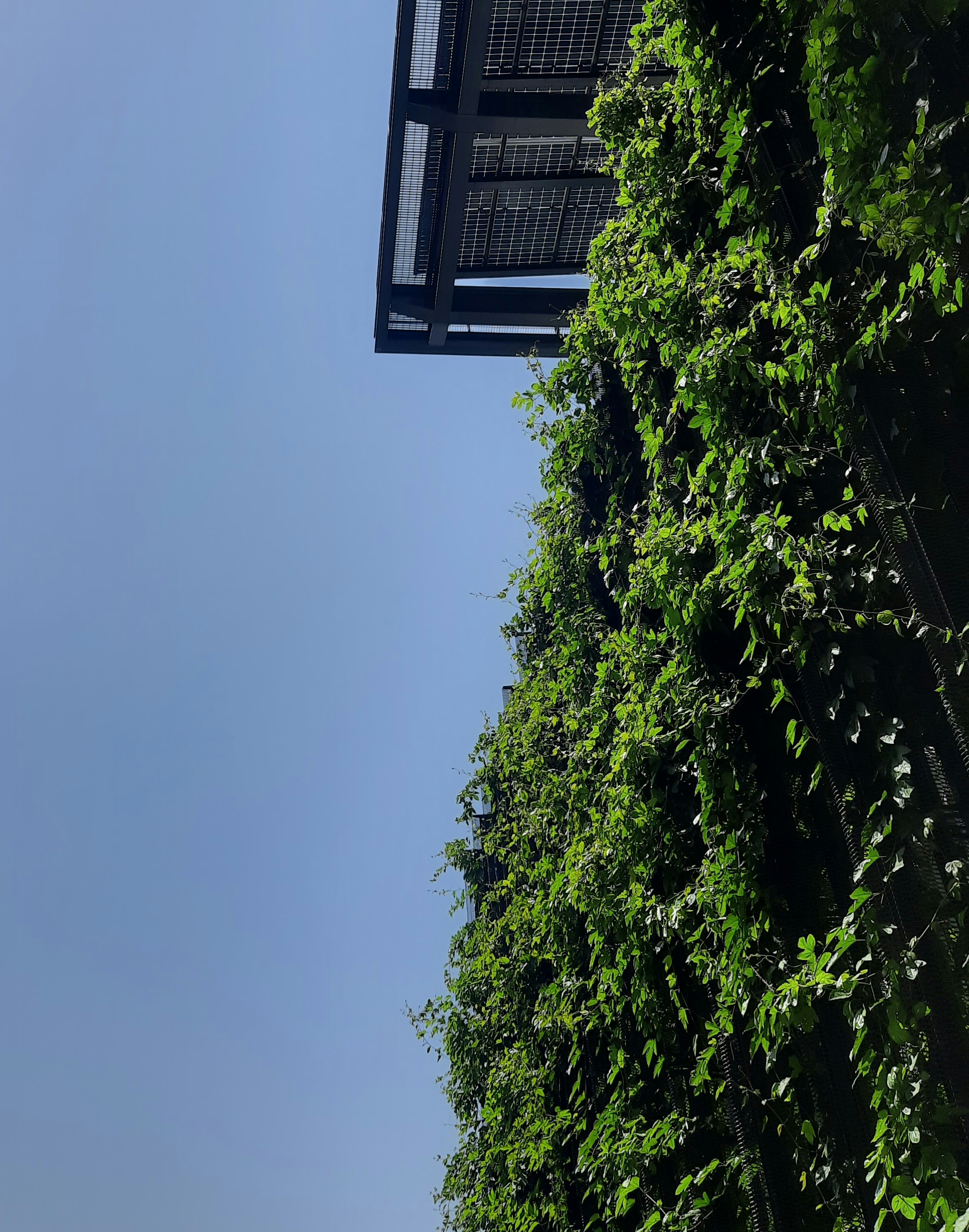 Hasnan Monir (@monirhasnan) | Unsplash Photo Community