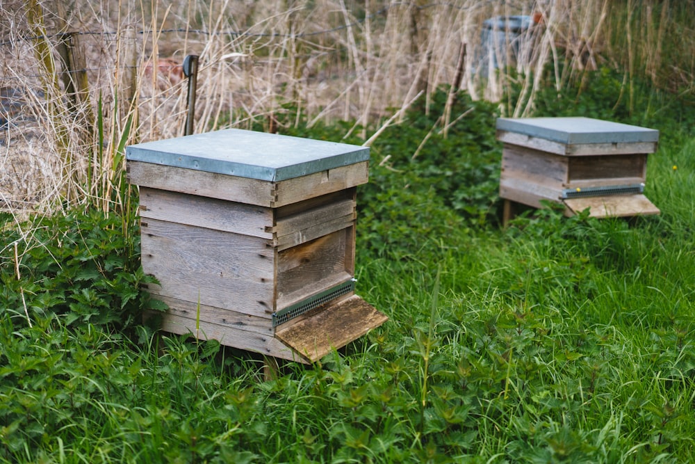 a couple of beehives sitting on top of a lush green field