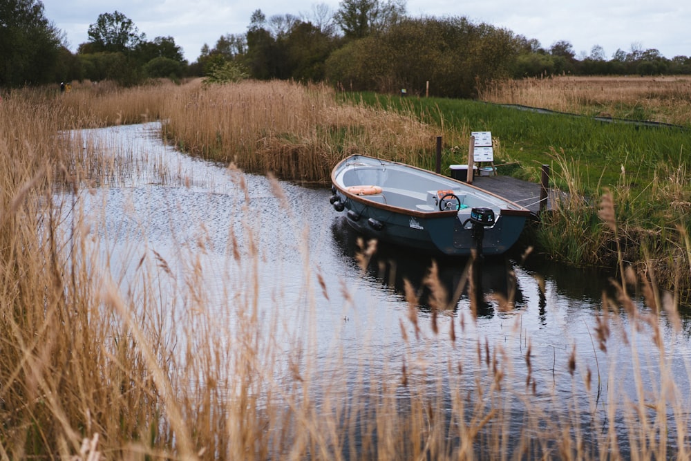 un pequeño bote sentado sobre un cuerpo de agua