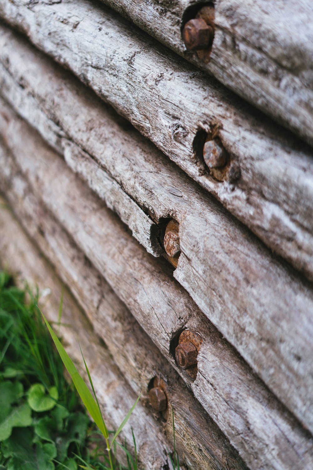 a close up of a log with holes in it