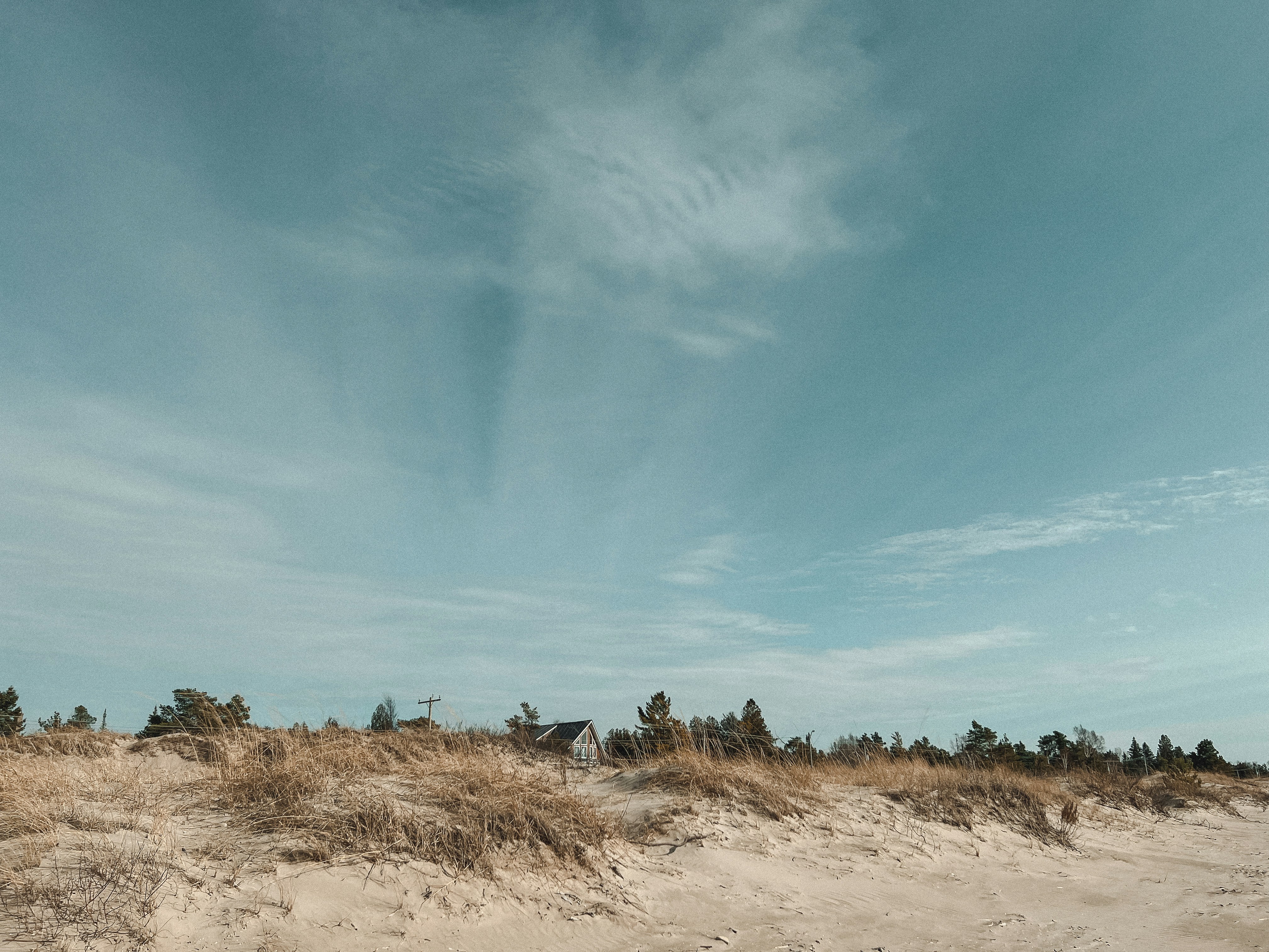 a sandy beach with grass and trees under a blue sky