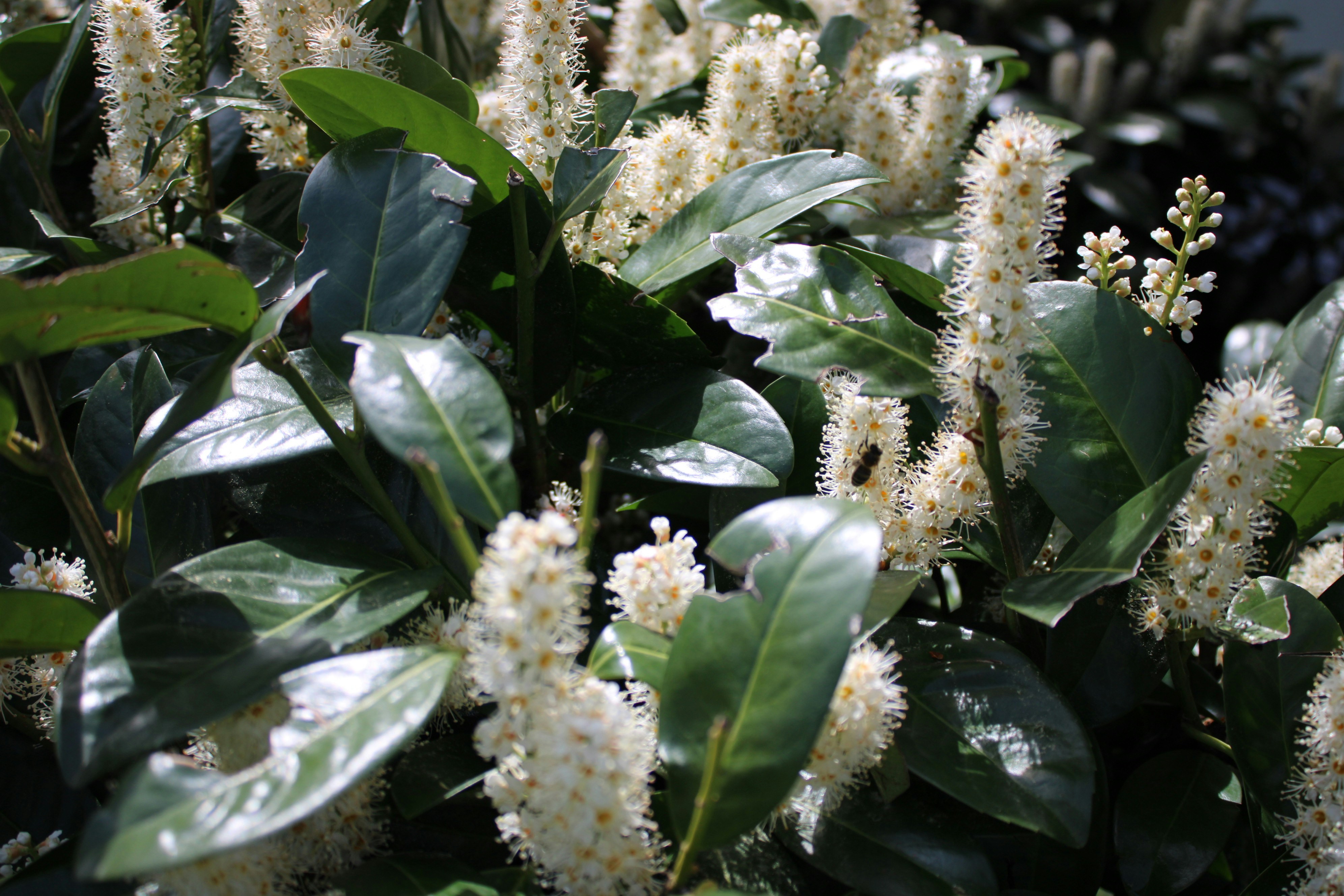 Photo by photoistoriia