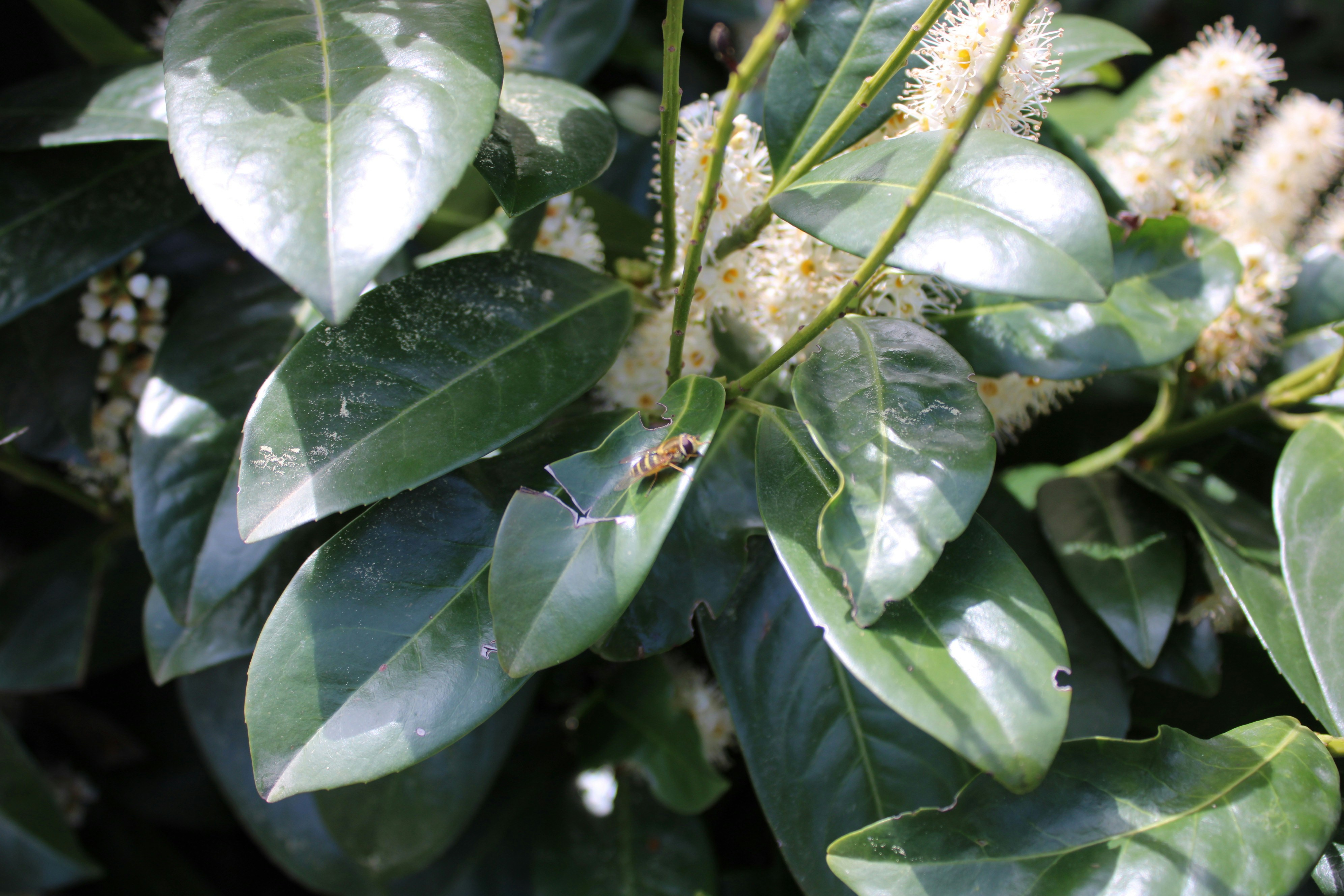 Photo by photoistoriia