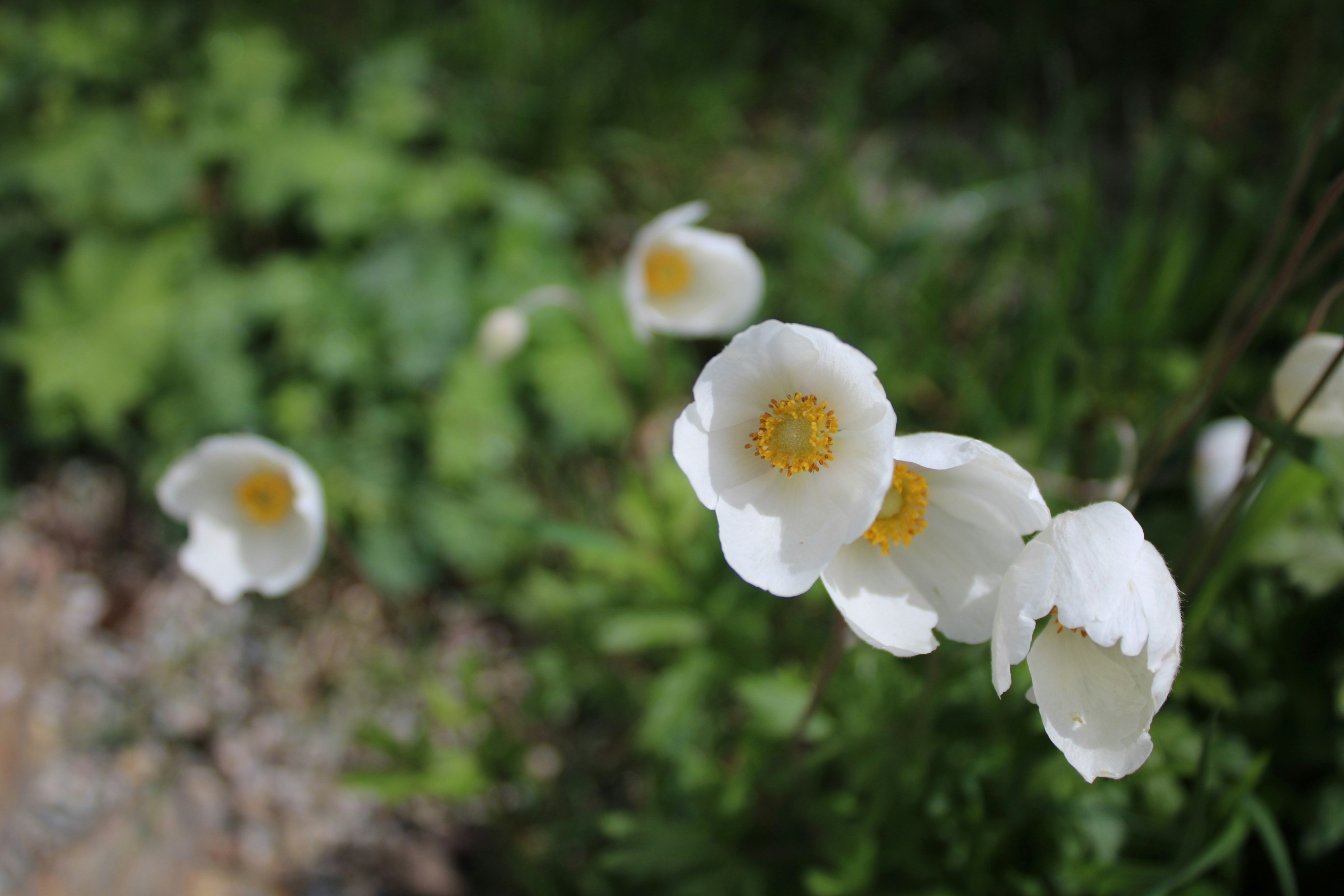 Photo by photoistoriia