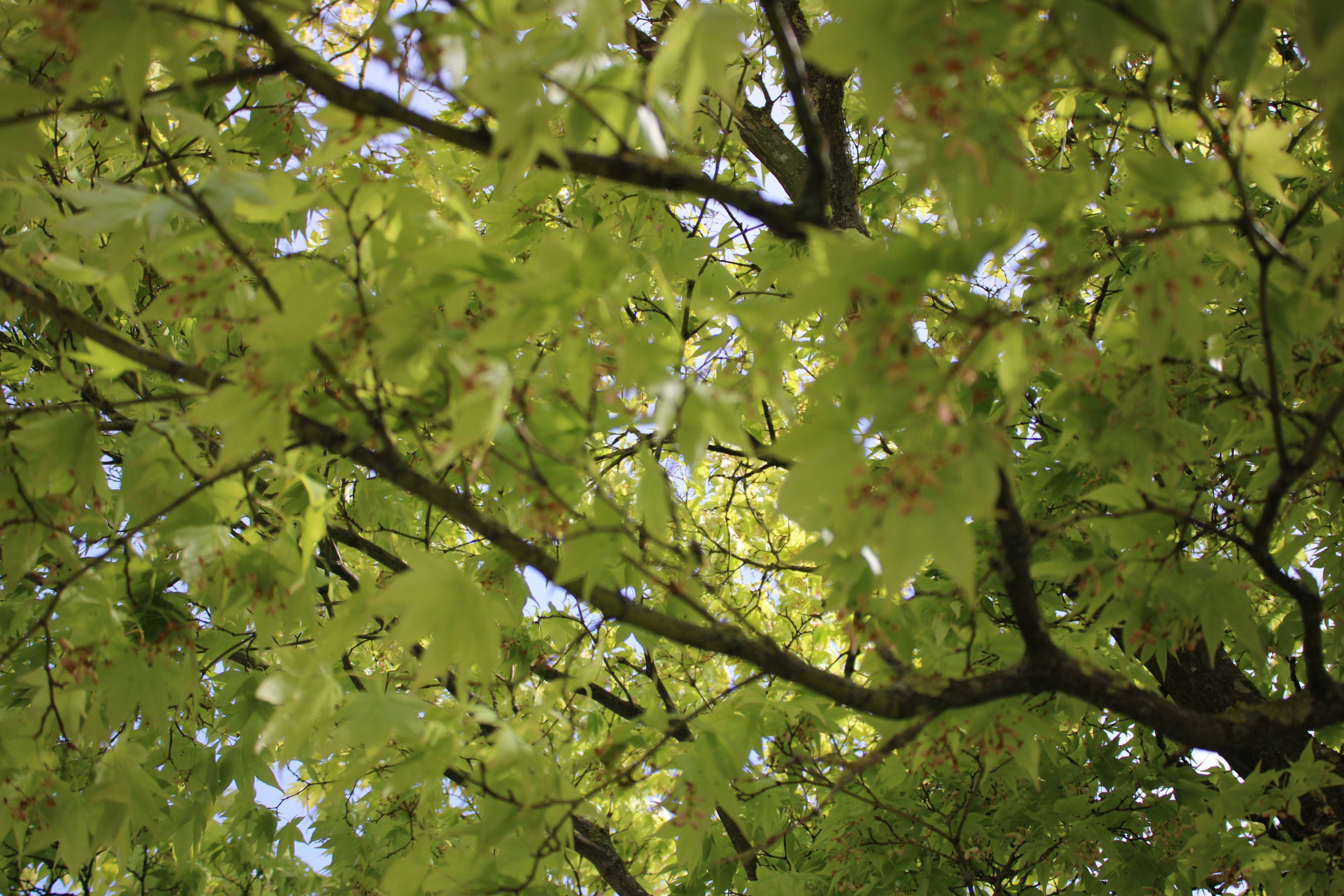 Photo by photoistoriia