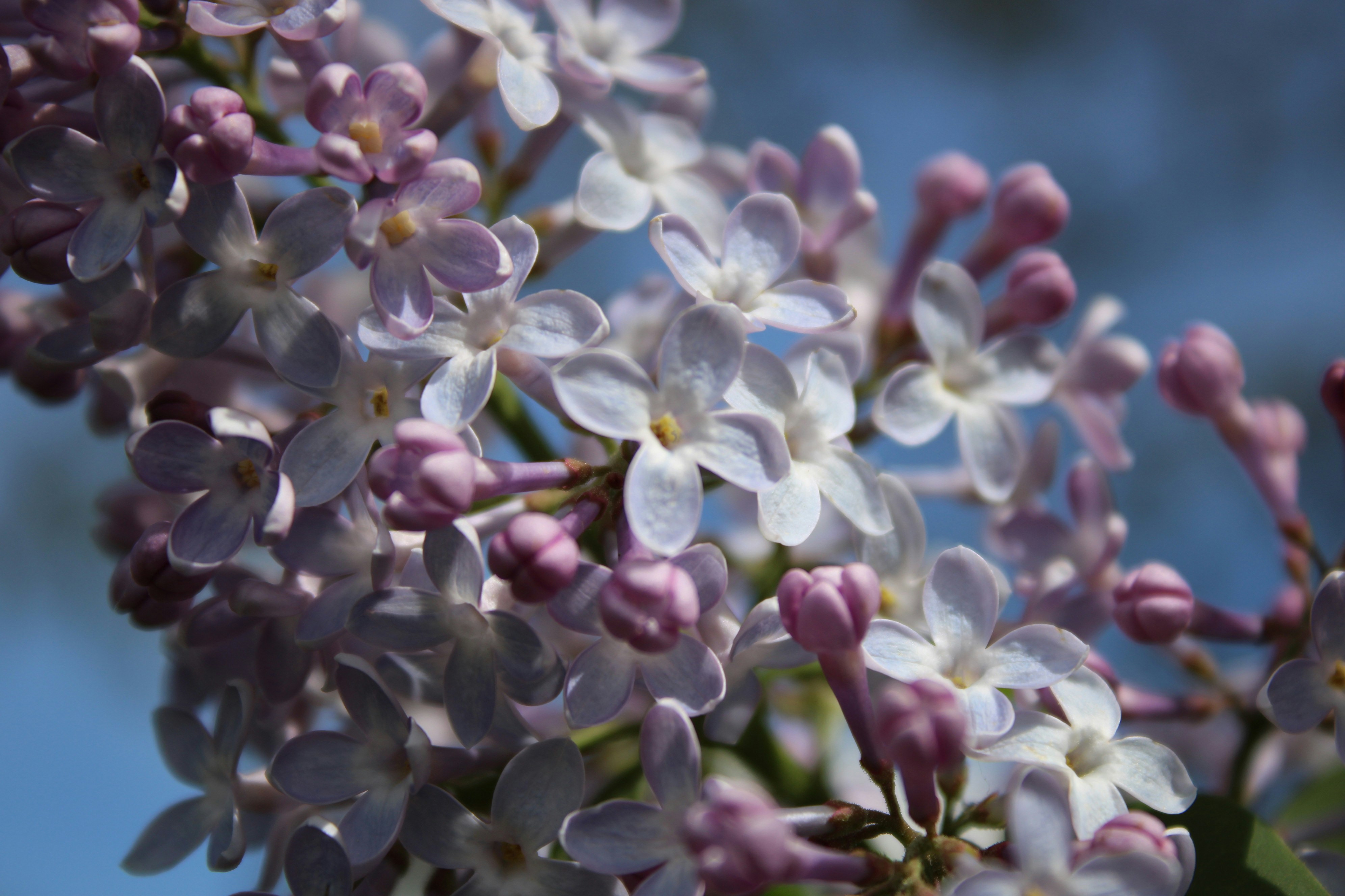 Photo by photoistoriia