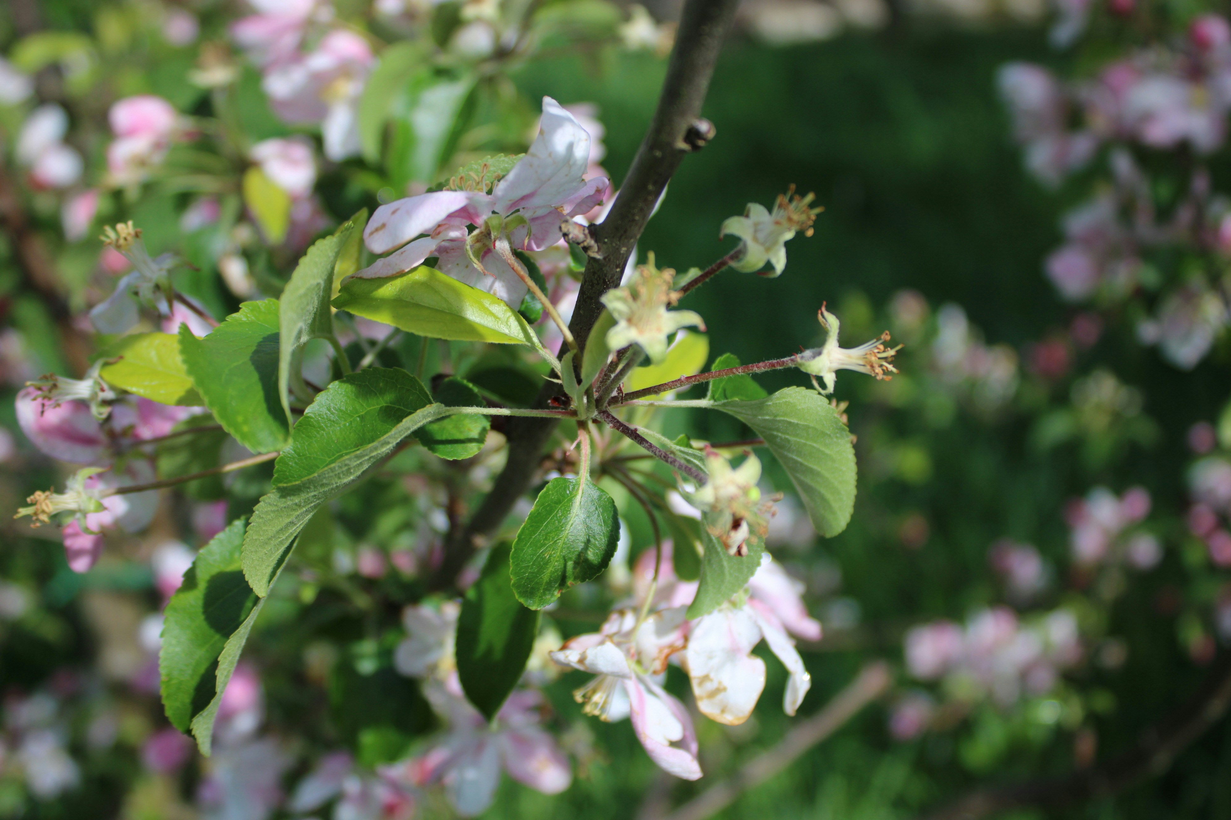 Photo by photoistoriia