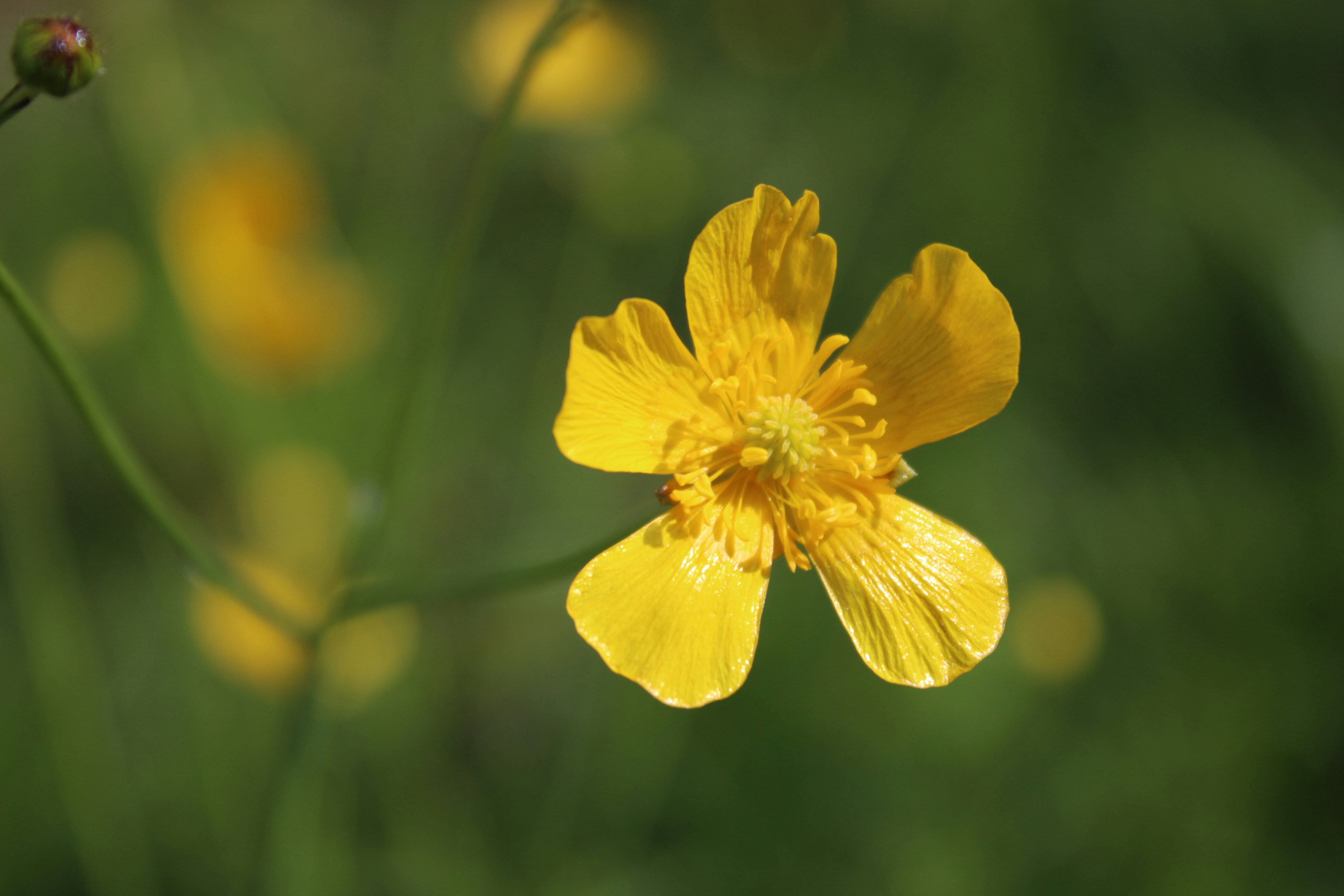 Photo by photoistoriia