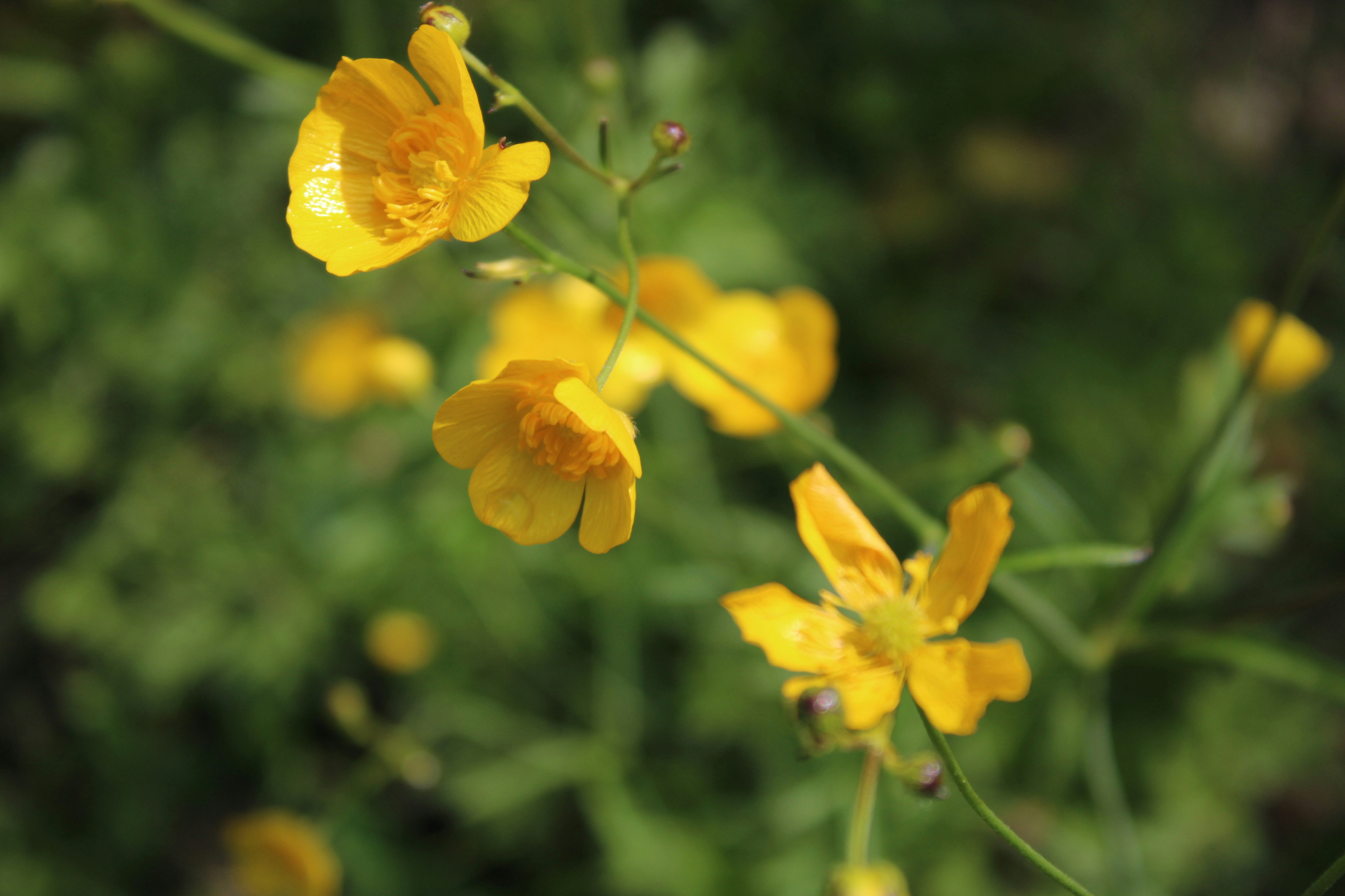 Photo by photoistoriia