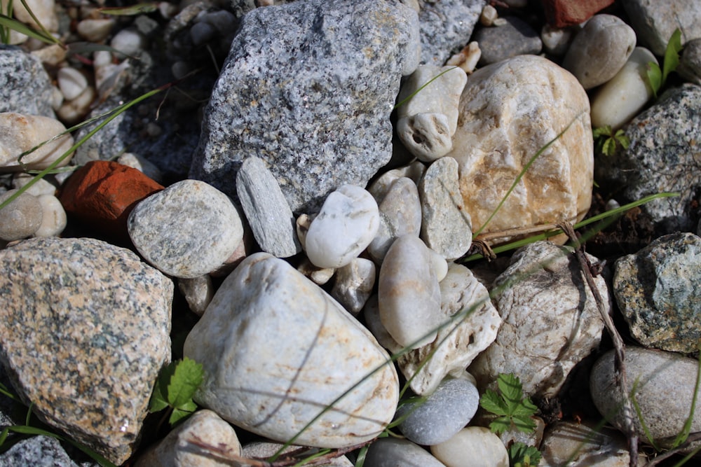 a bunch of rocks that are laying on the ground