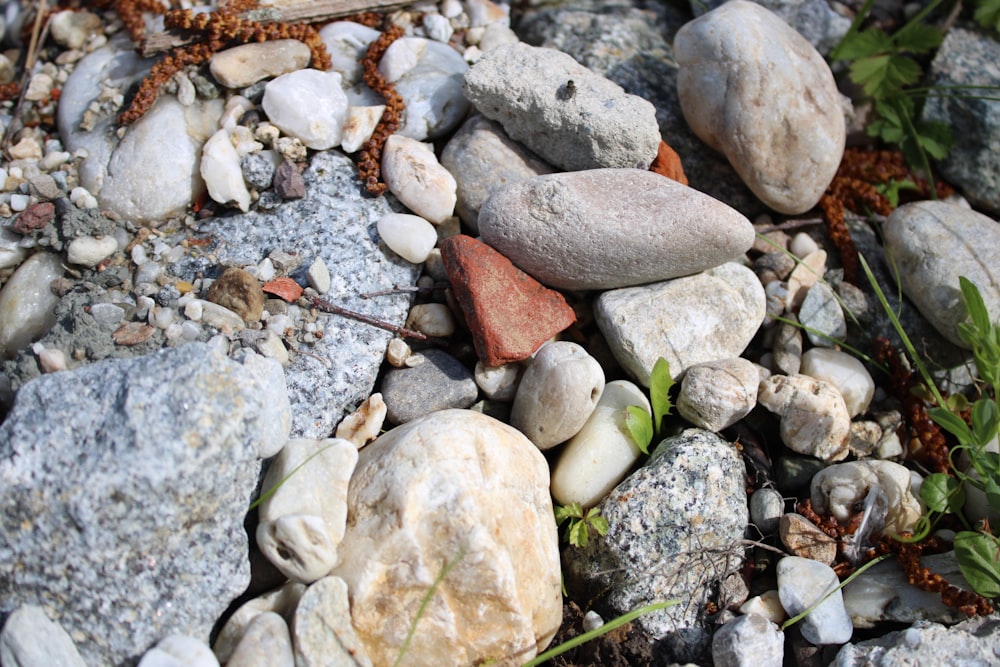 a pile of rocks sitting on top of a rocky ground