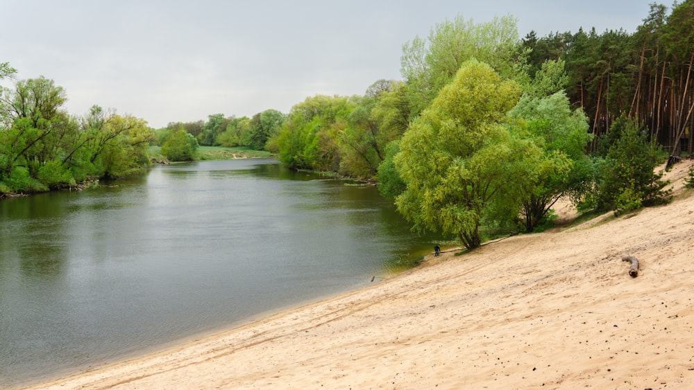a body of water surrounded by trees and sand