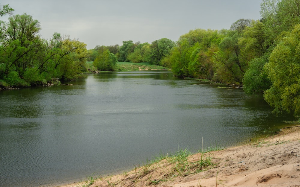 a body of water surrounded by trees and sand