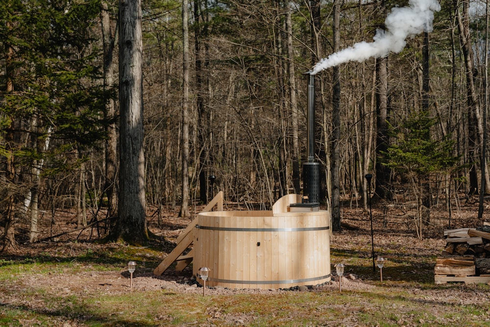 a smokestack in the middle of a wooded area