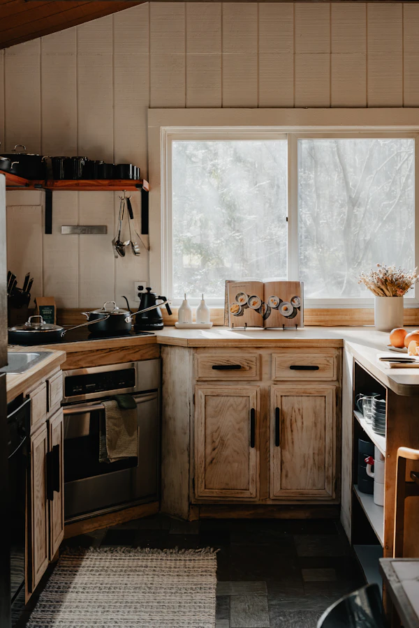 Dishwasher repair