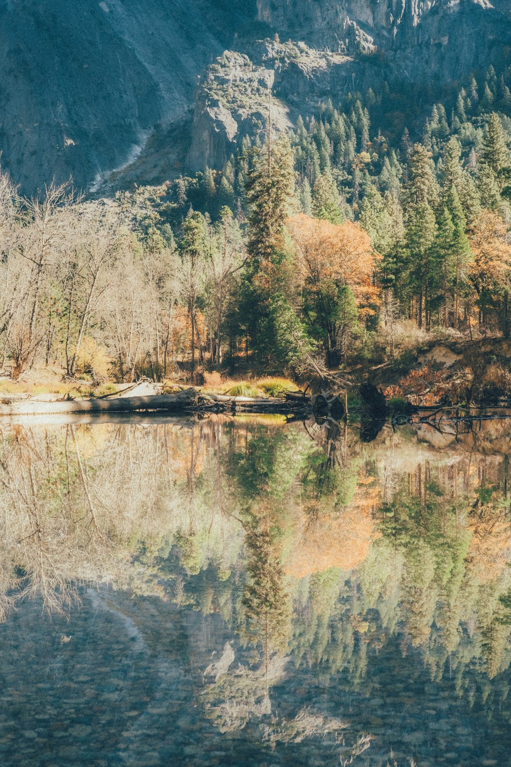 a lake surrounded by a forest with a mountain in the background