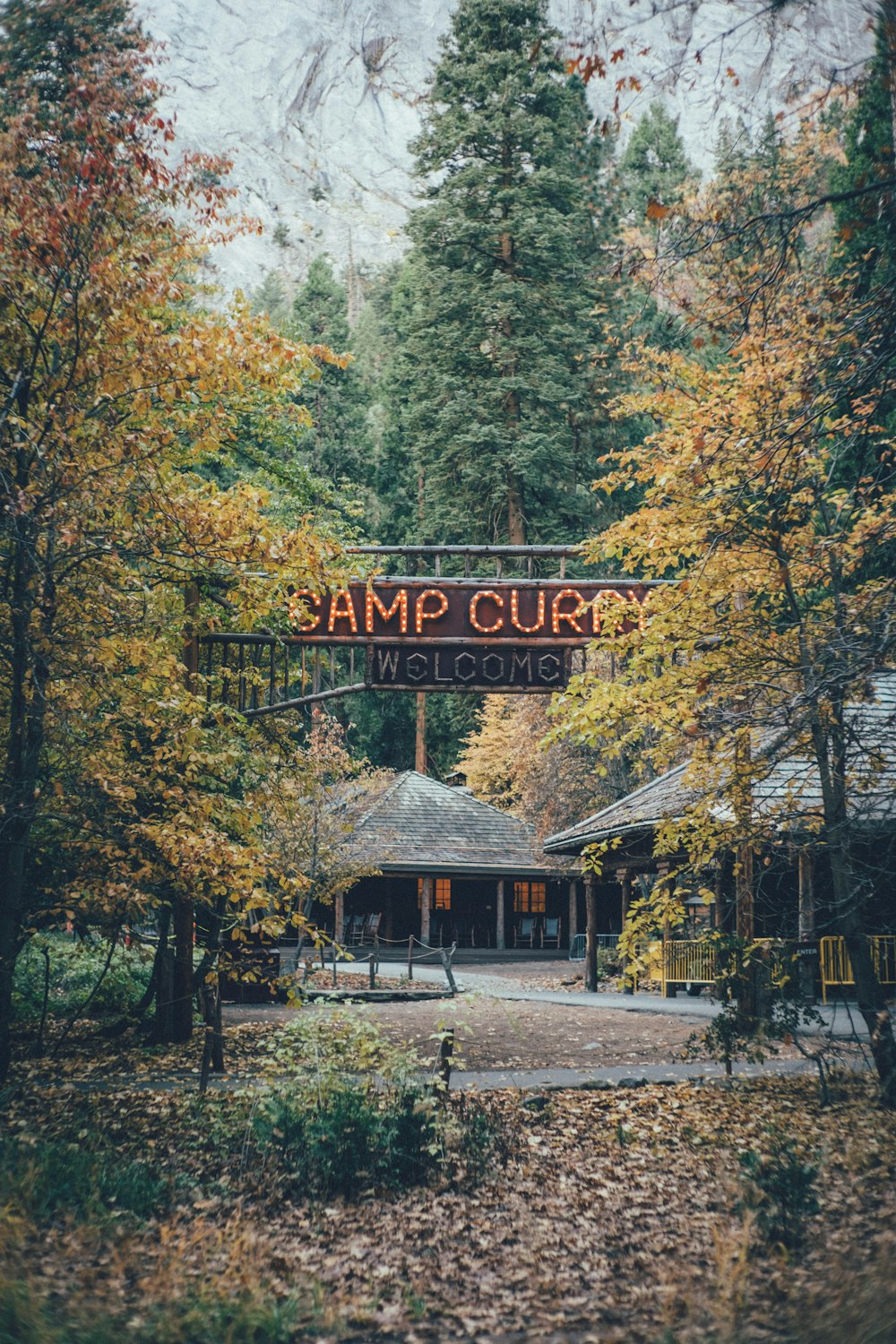 a sign that says camp curry in front of a forest