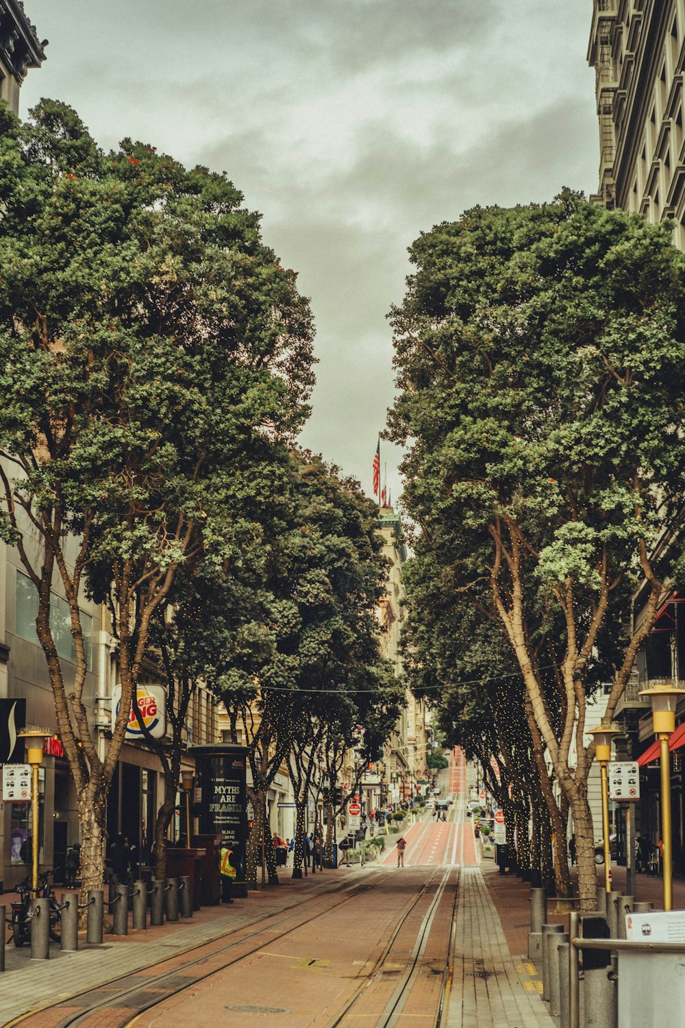 a city street lined with trees and buildings