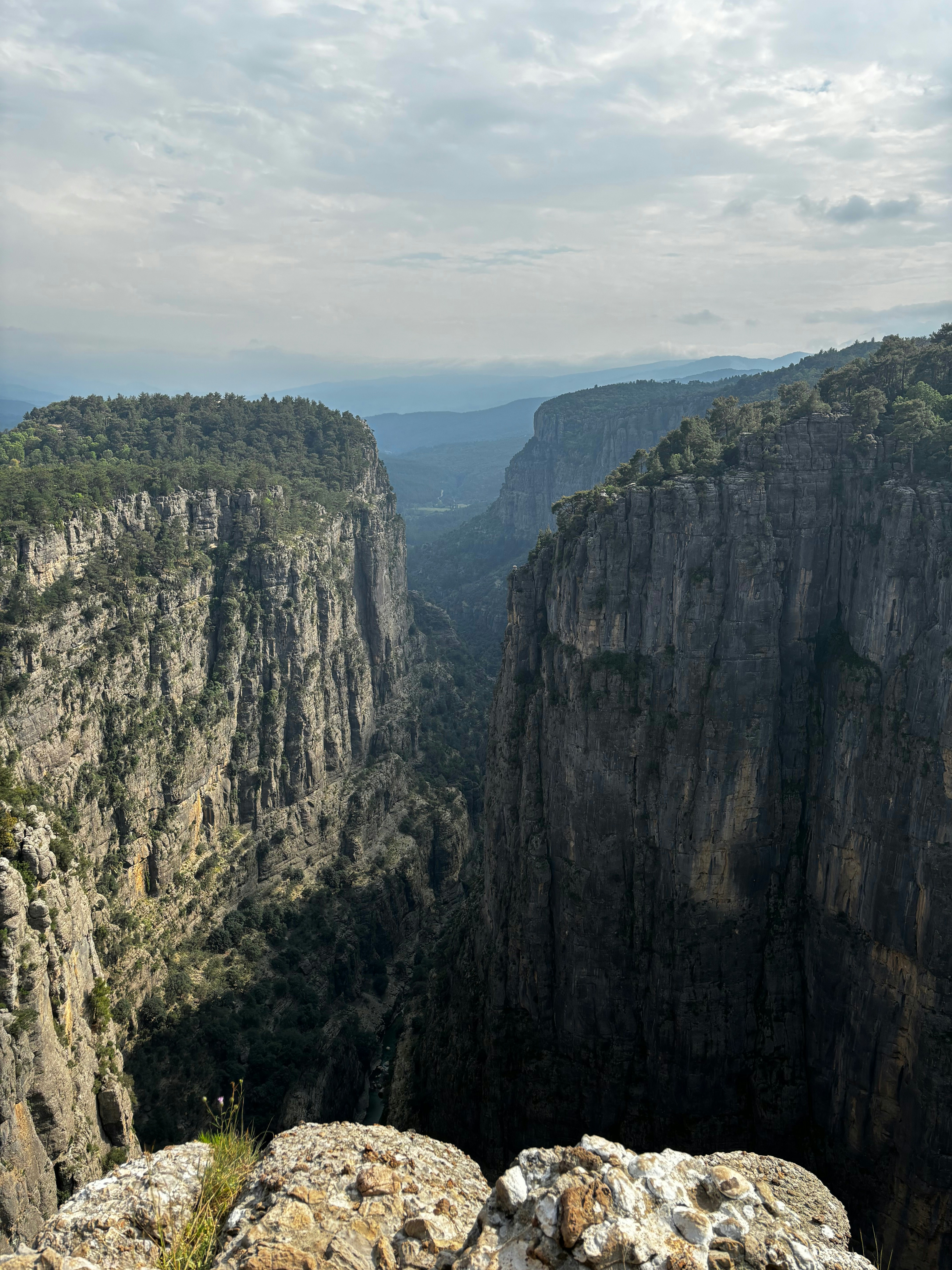 Photo by yefem_dalkilic