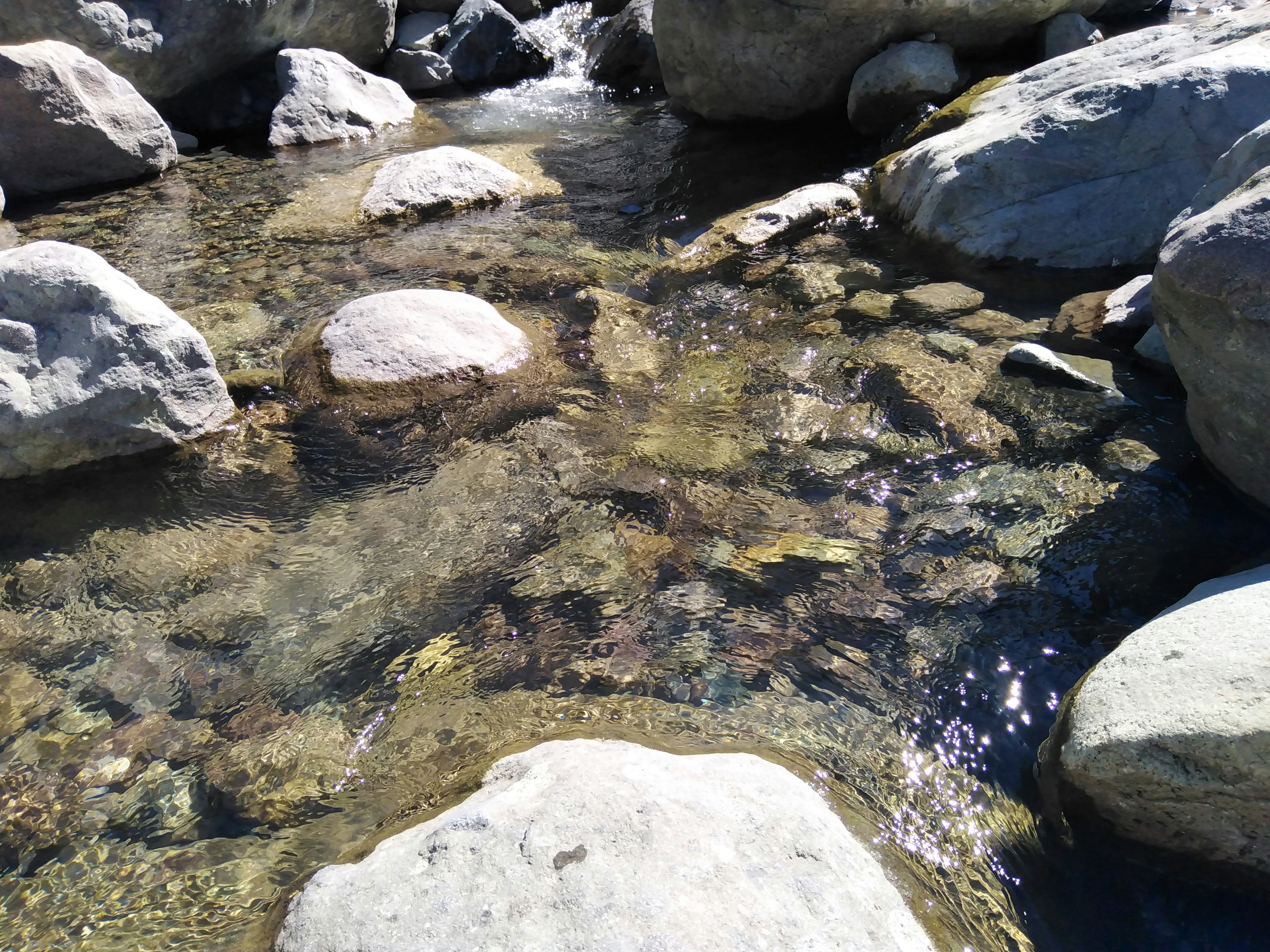 Photo by fran_taquionica