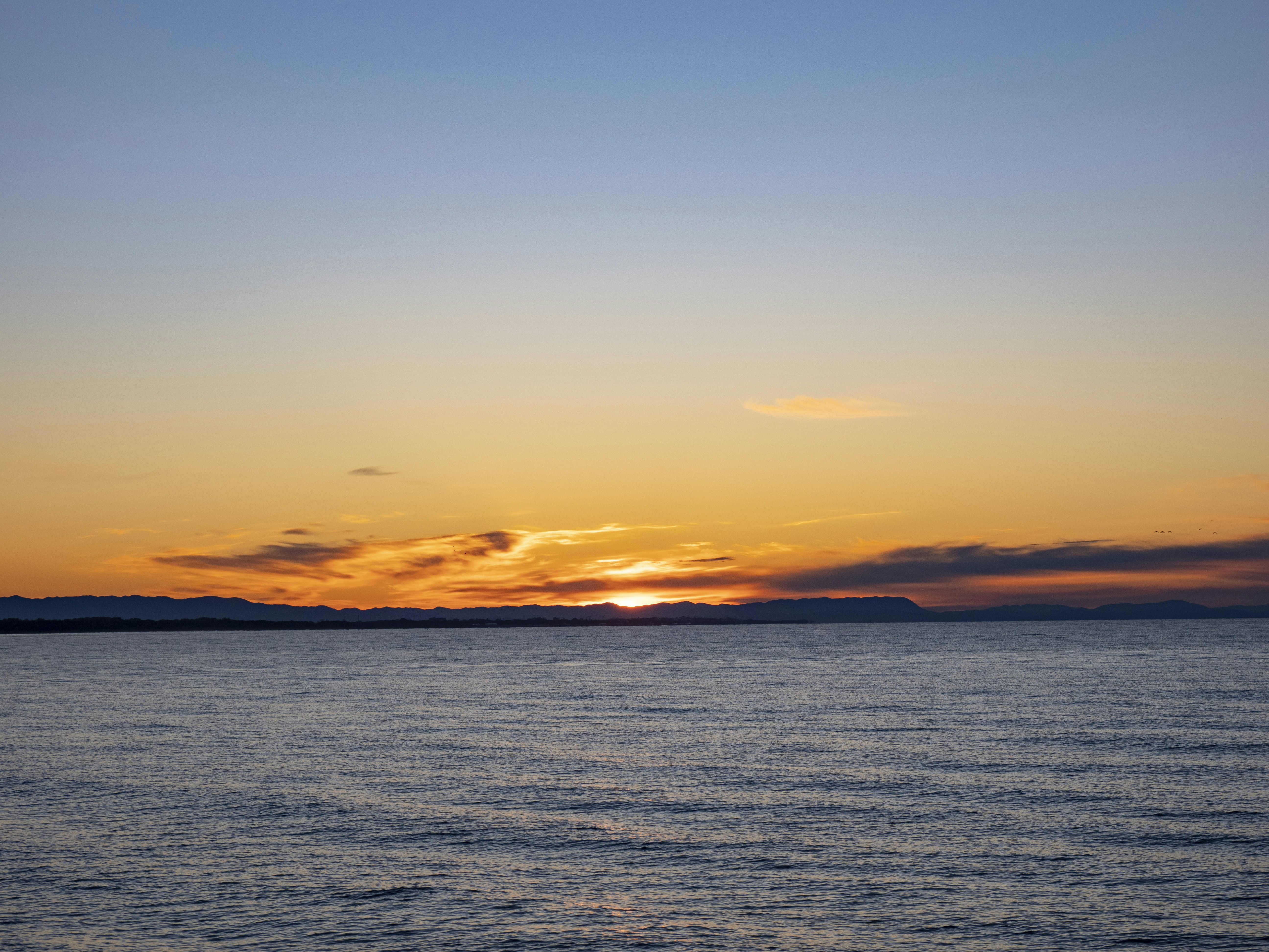 Photo by gopitri_prem