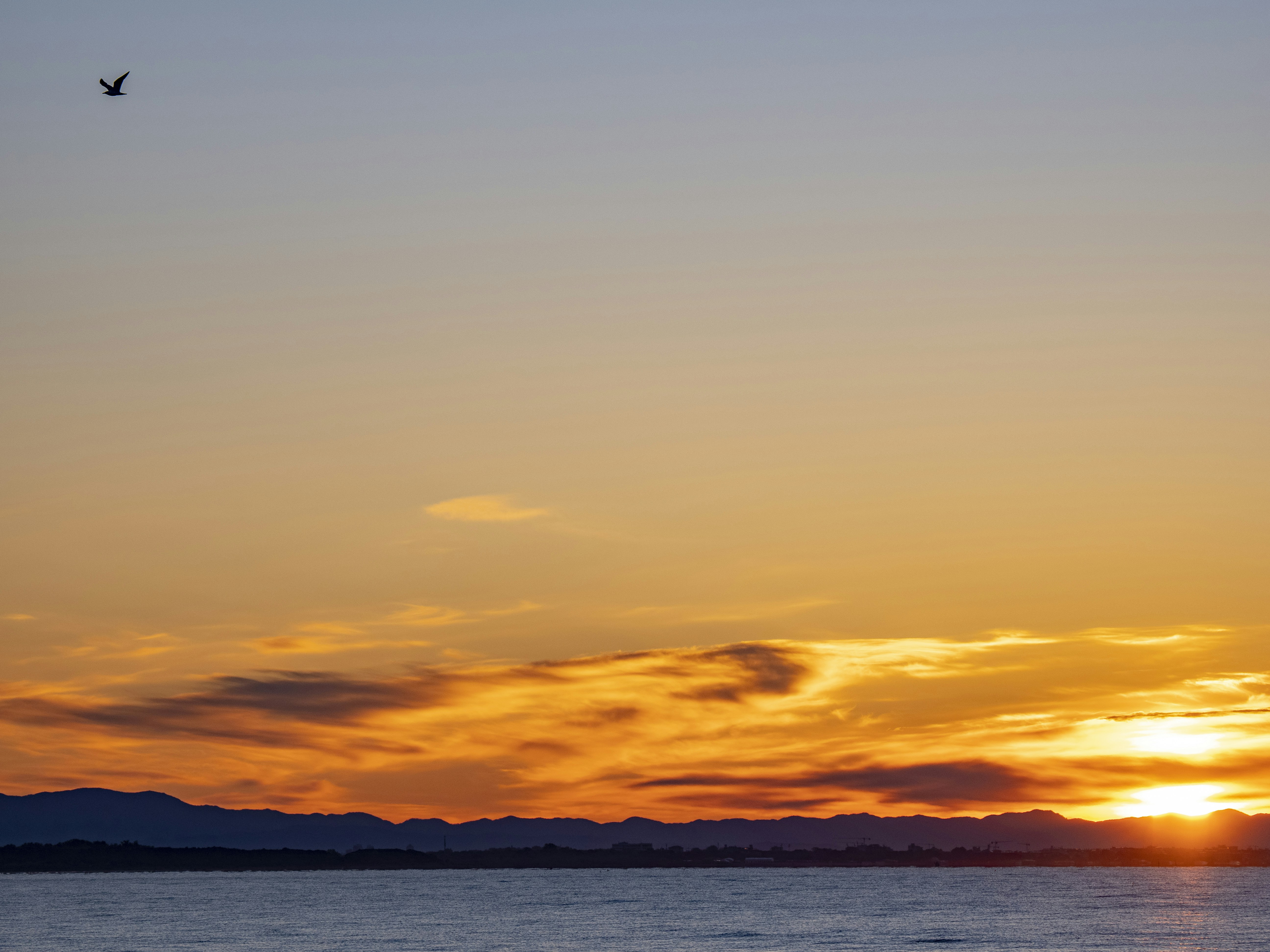 Photo by gopitri_prem