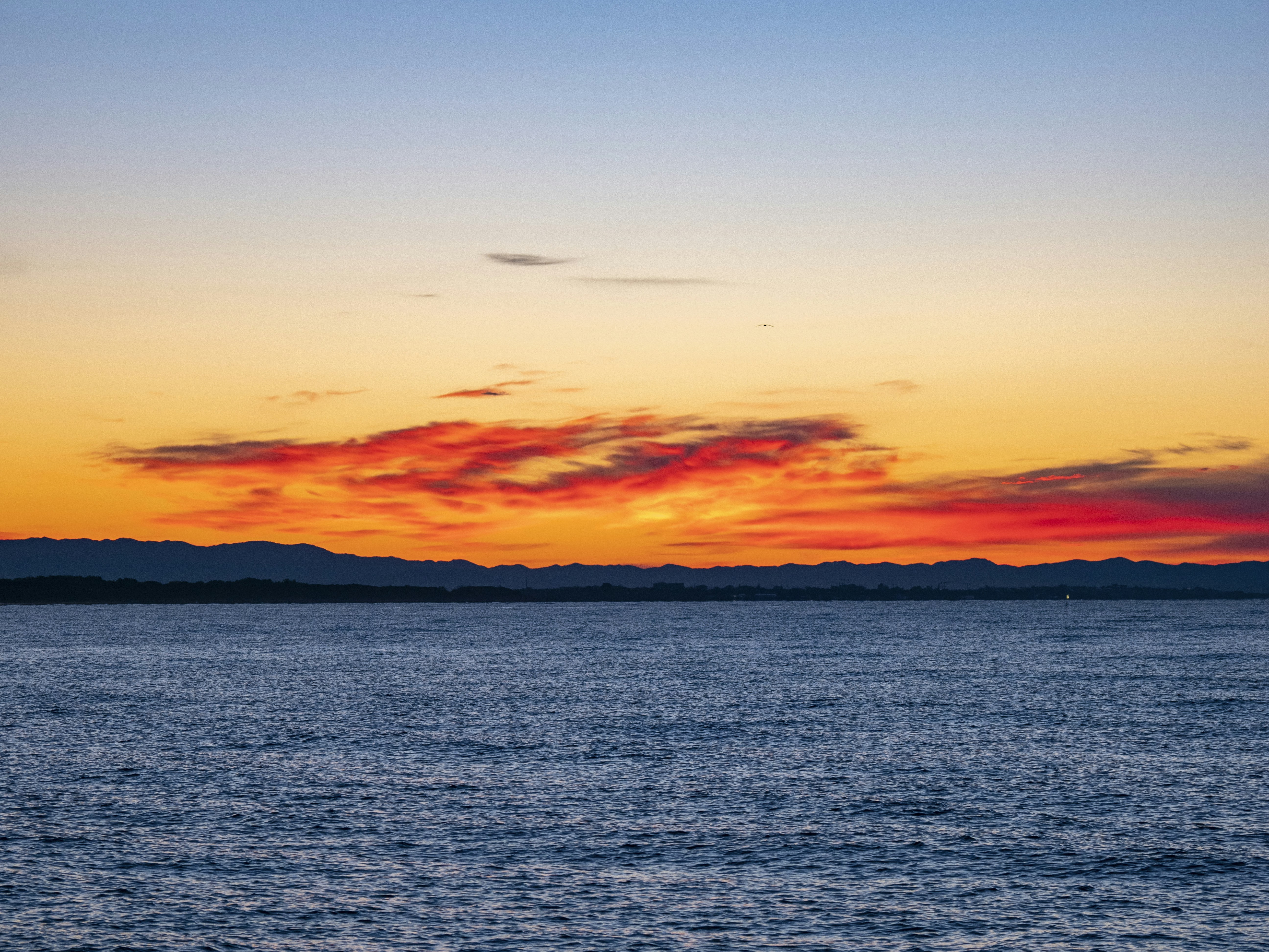 Photo by gopitri_prem