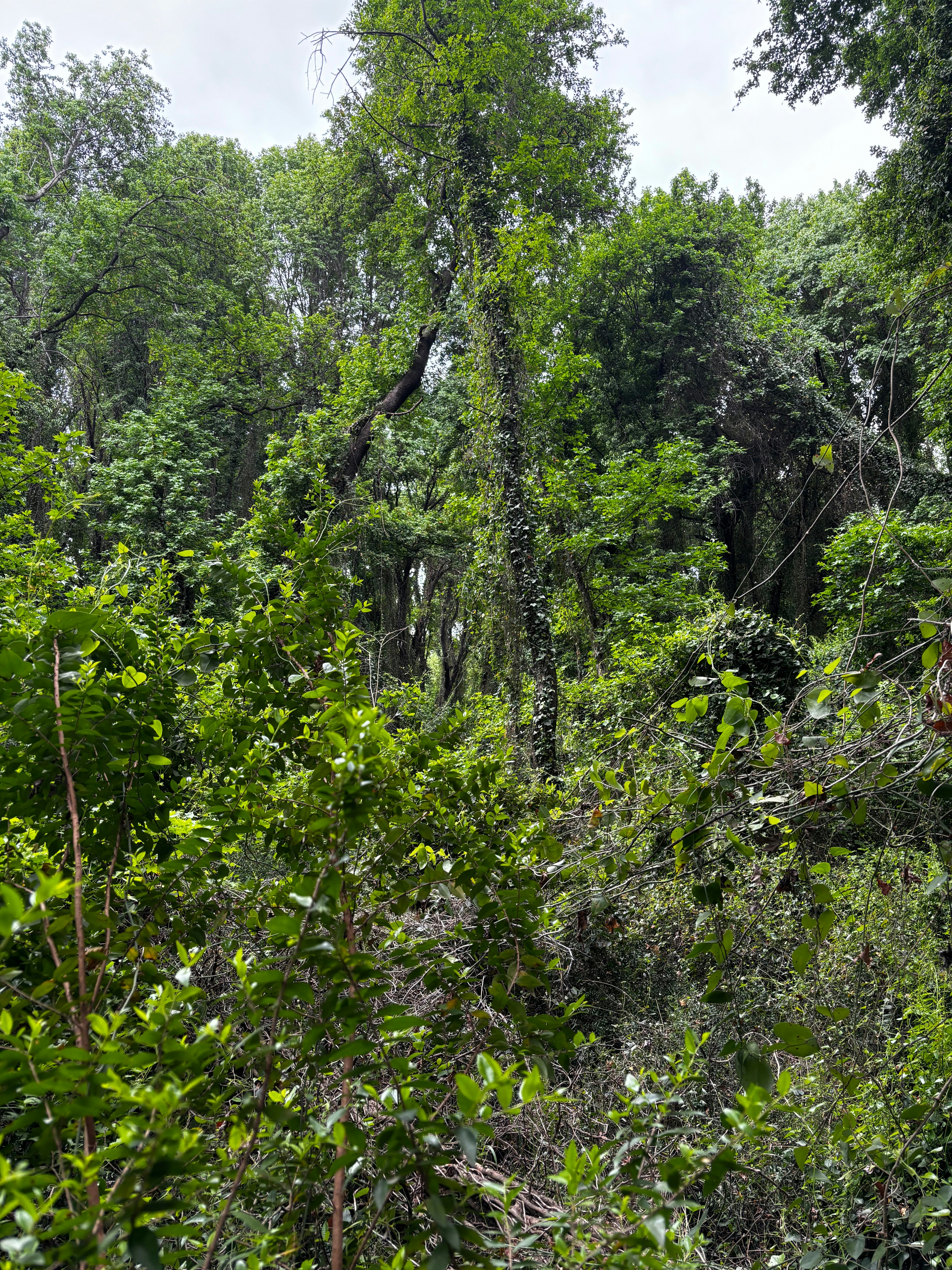 Photo by yefem_dalkilic