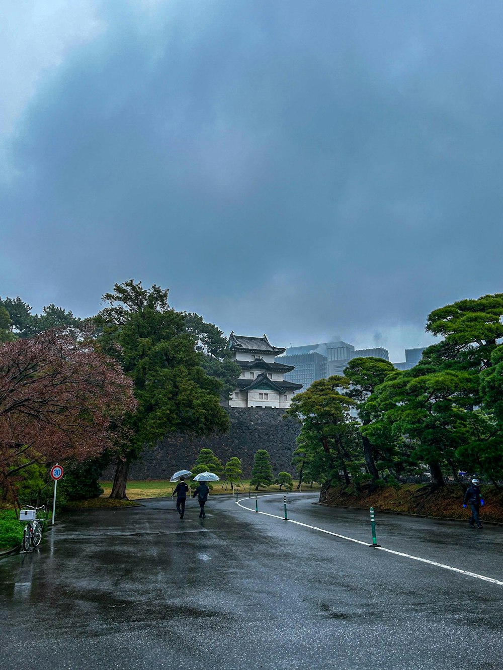 a couple of people walking down a street holding umbrellas