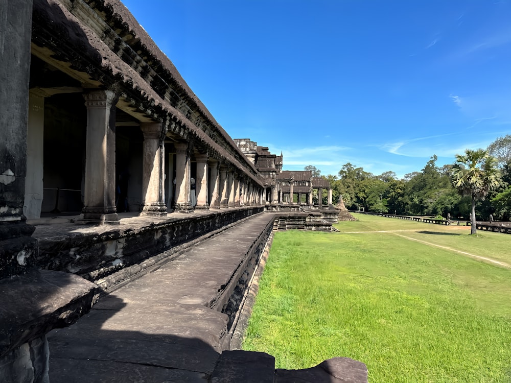 une vue d’un champ herbeux depuis l’intérieur d’un bâtiment