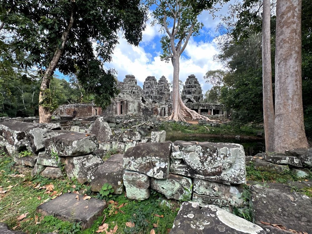 the ruins of the ancient city are surrounded by trees