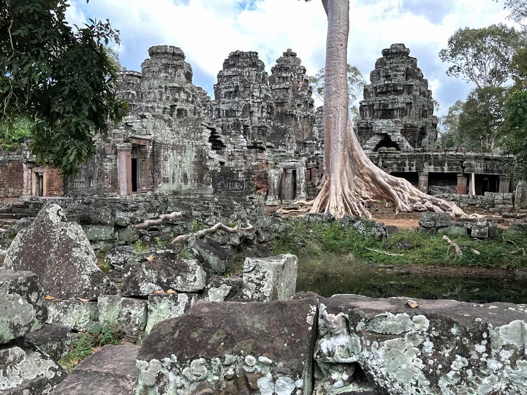 a tree growing out of the ruins of a temple,