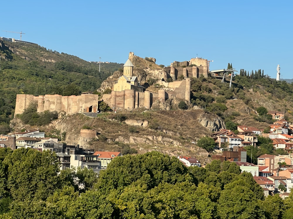 a castle on a hill with trees in the foreground