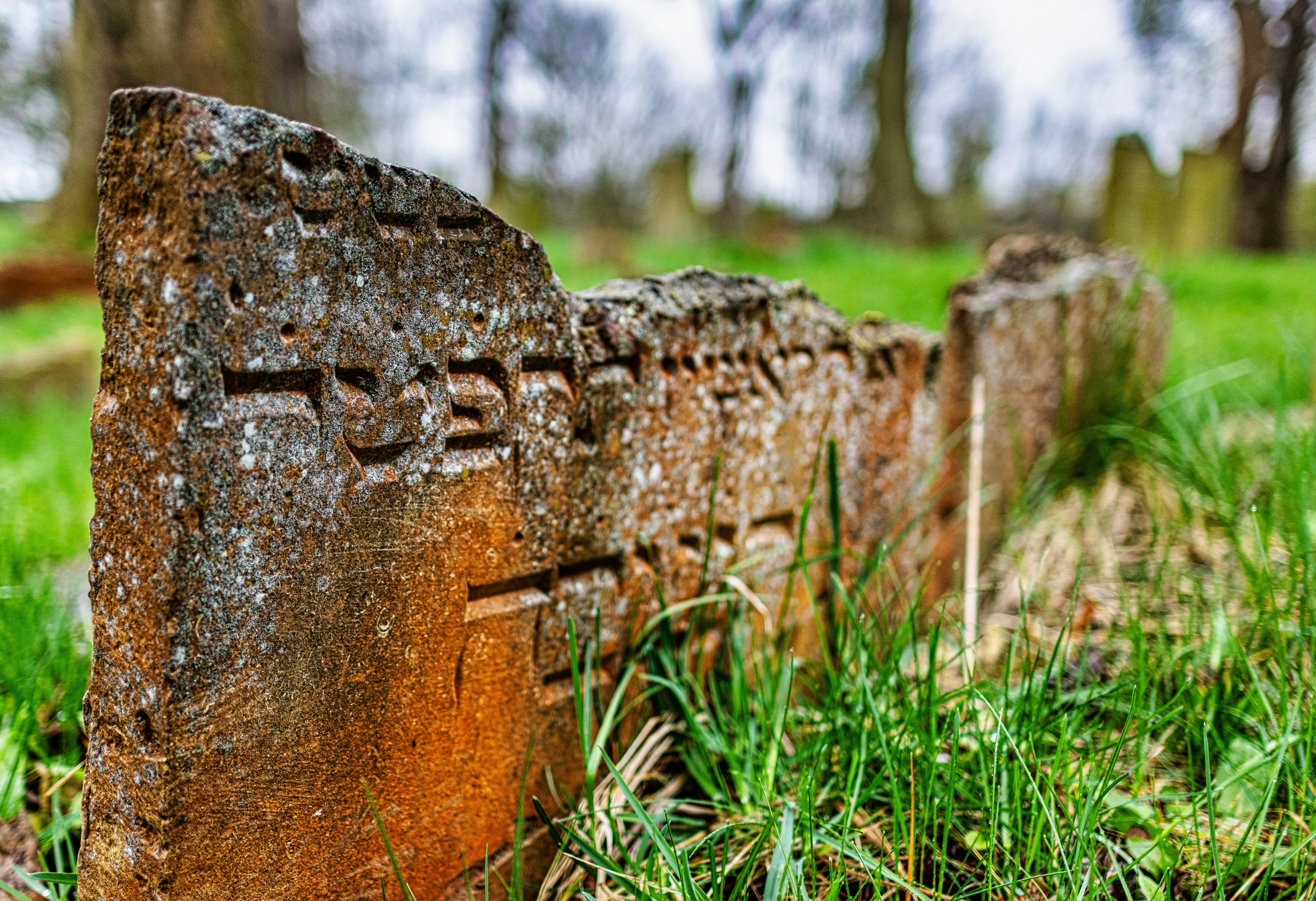 a close up of a stone in the grass