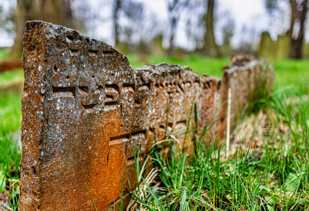 a close up of a stone in the grass