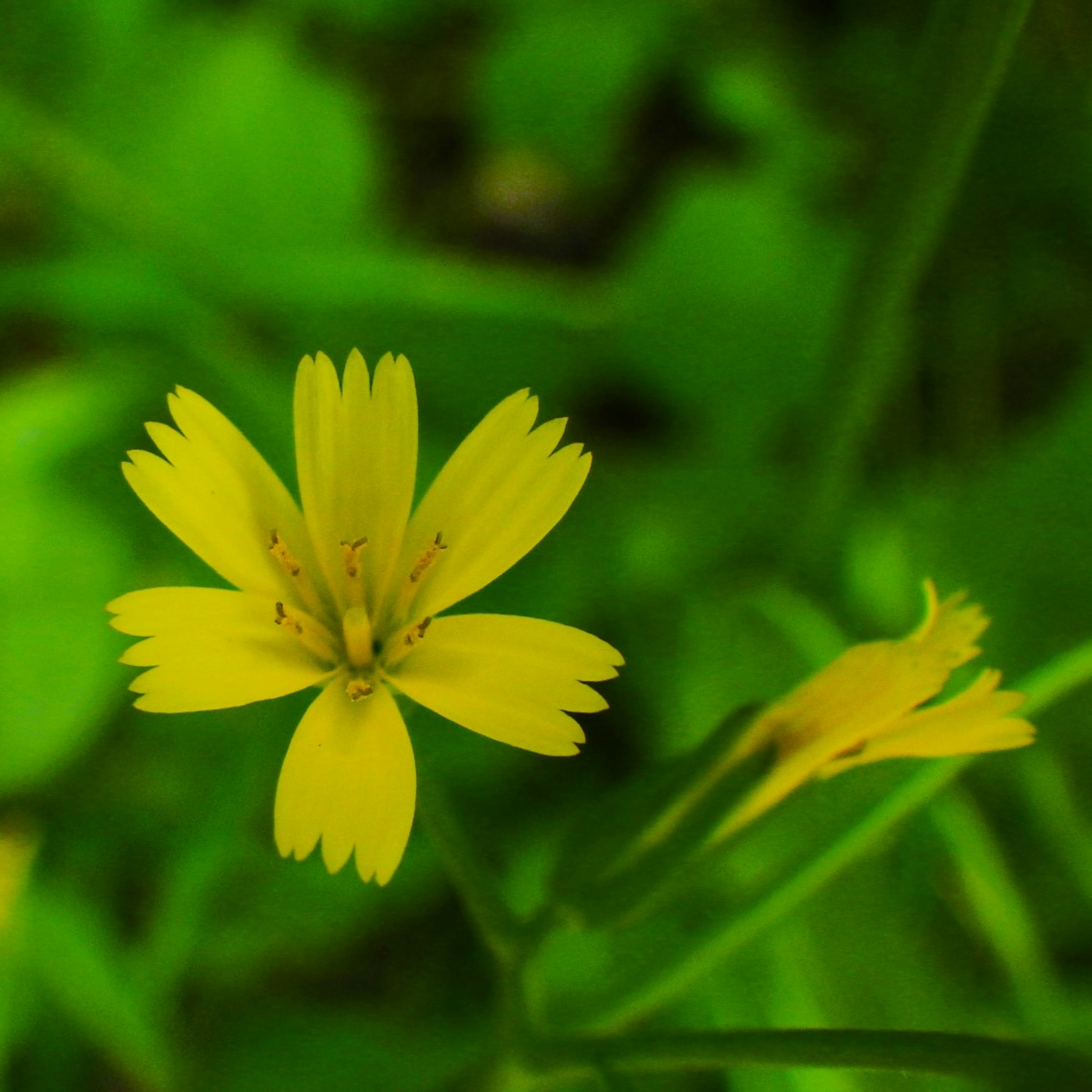 Photo by dominapetric