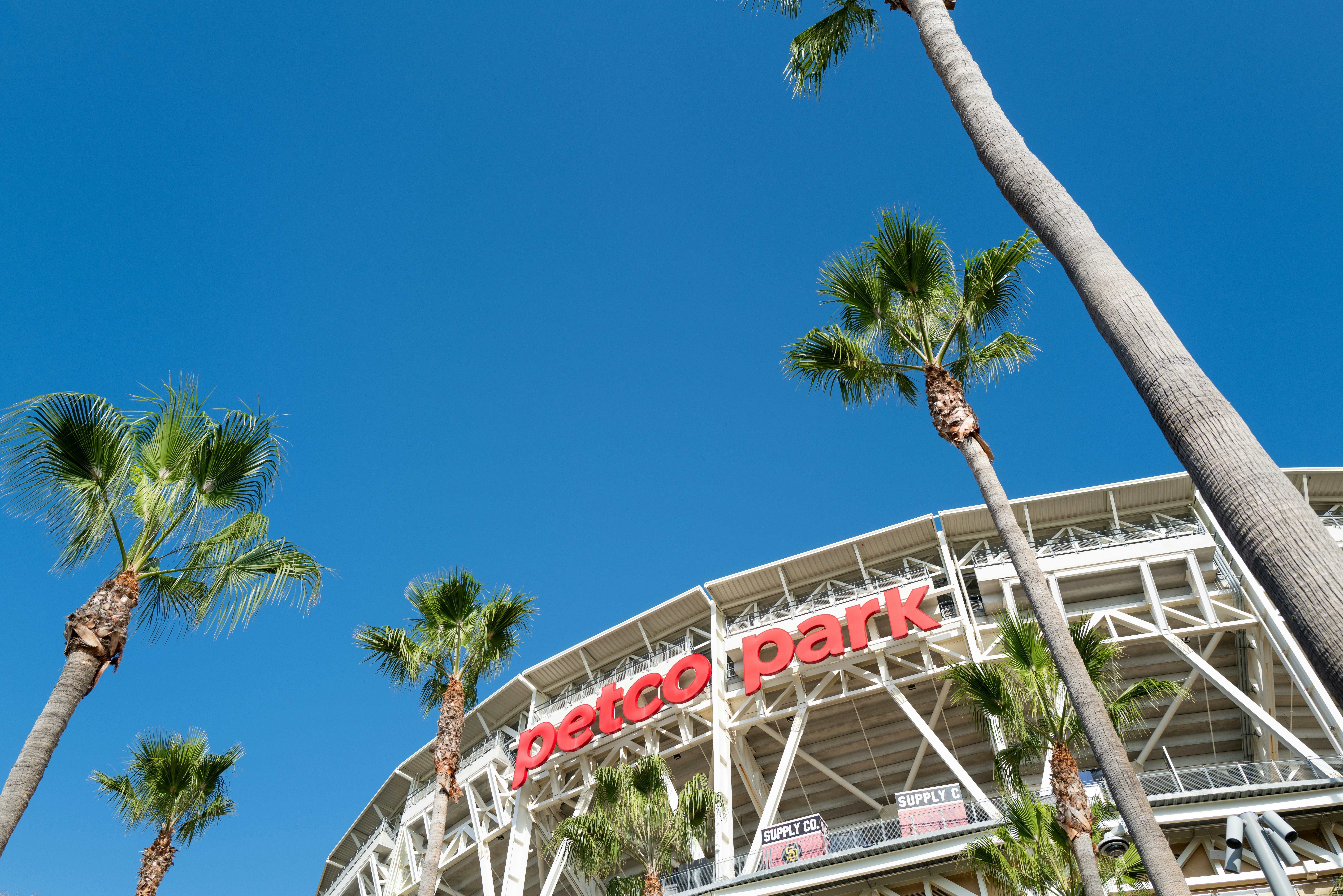 a stadium with palm trees in front of it