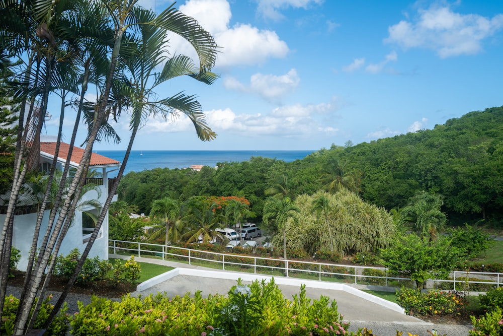 a view of the ocean from the top of a hill