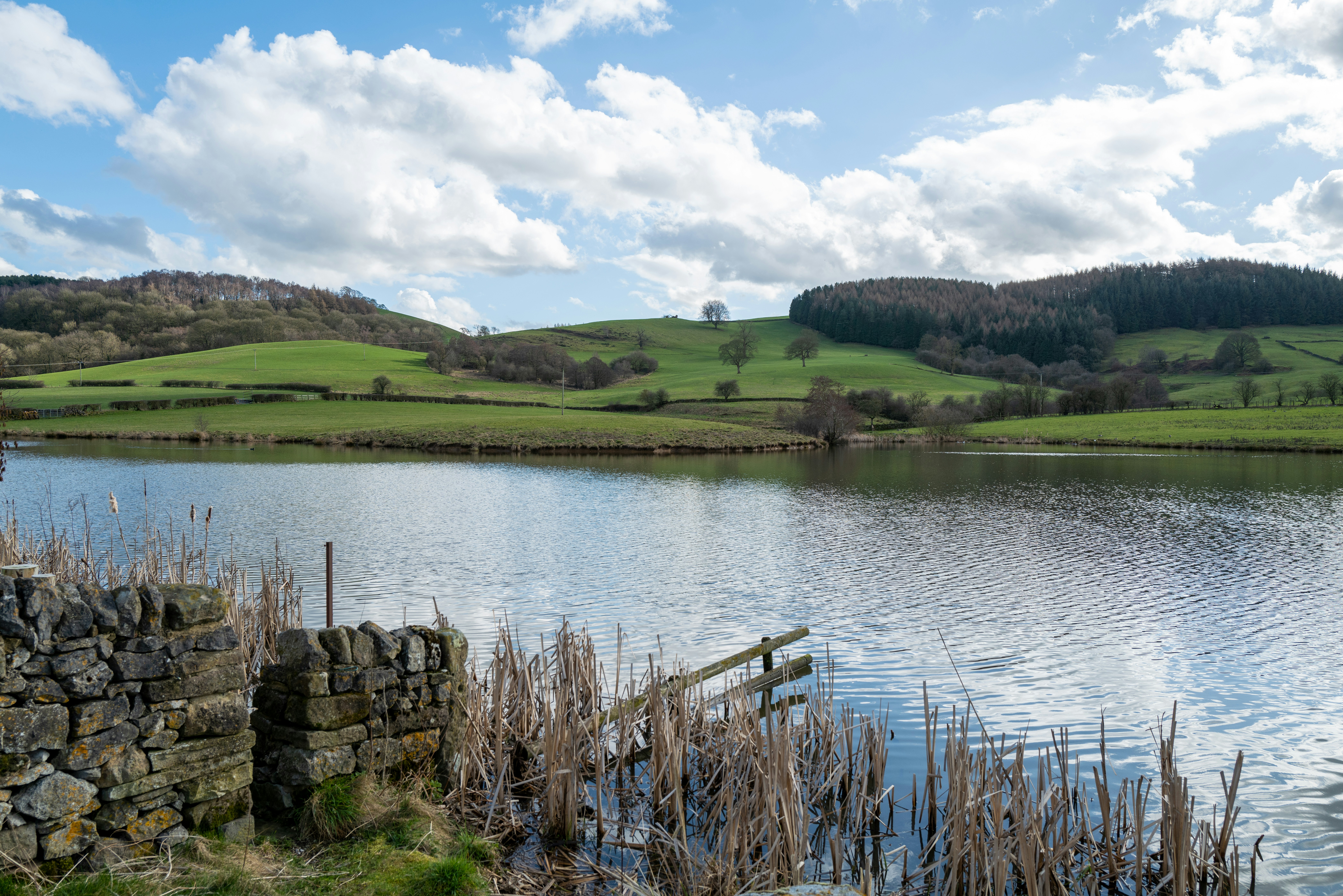 Photo by jacobpretorius