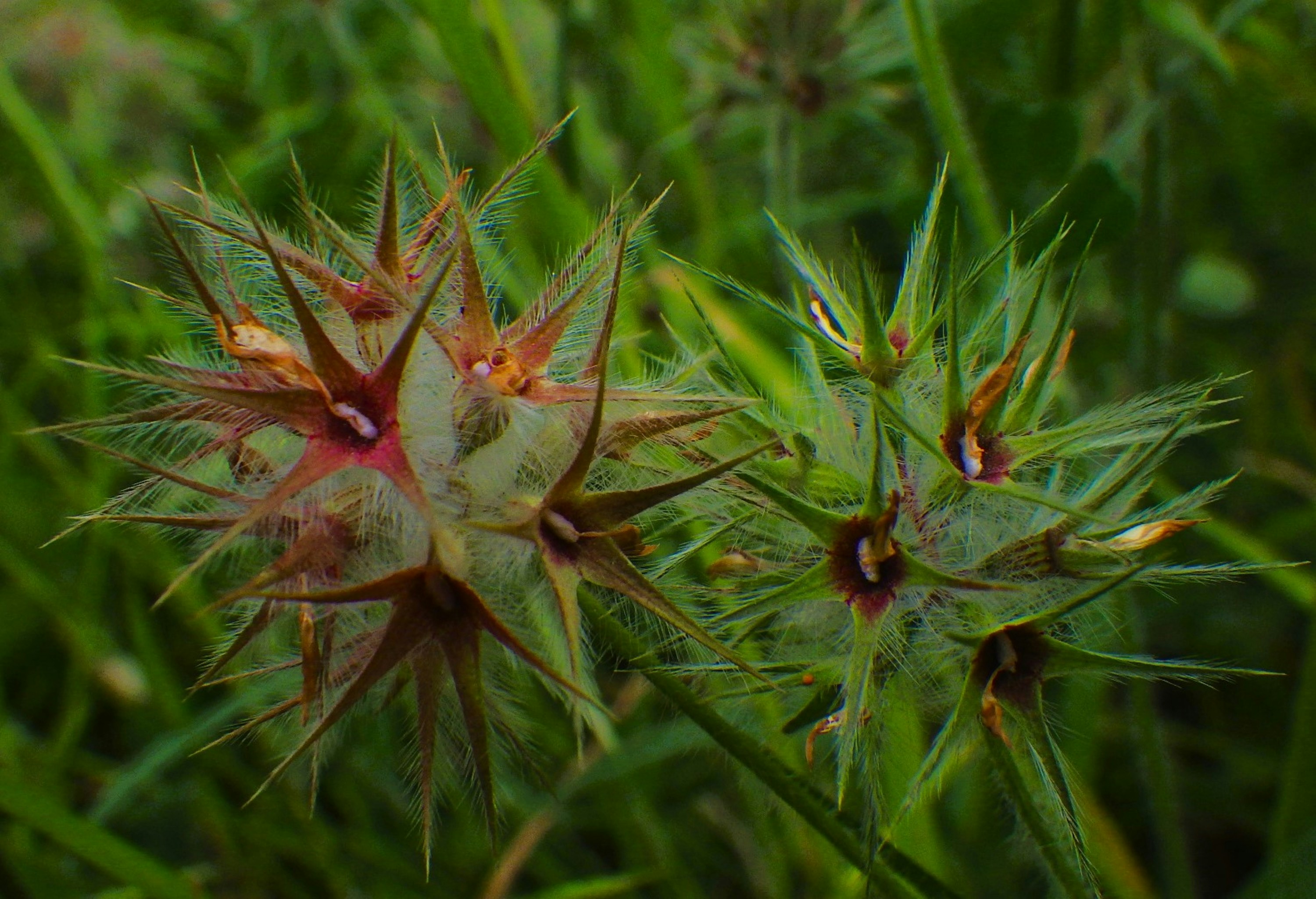 Photo by dominapetric