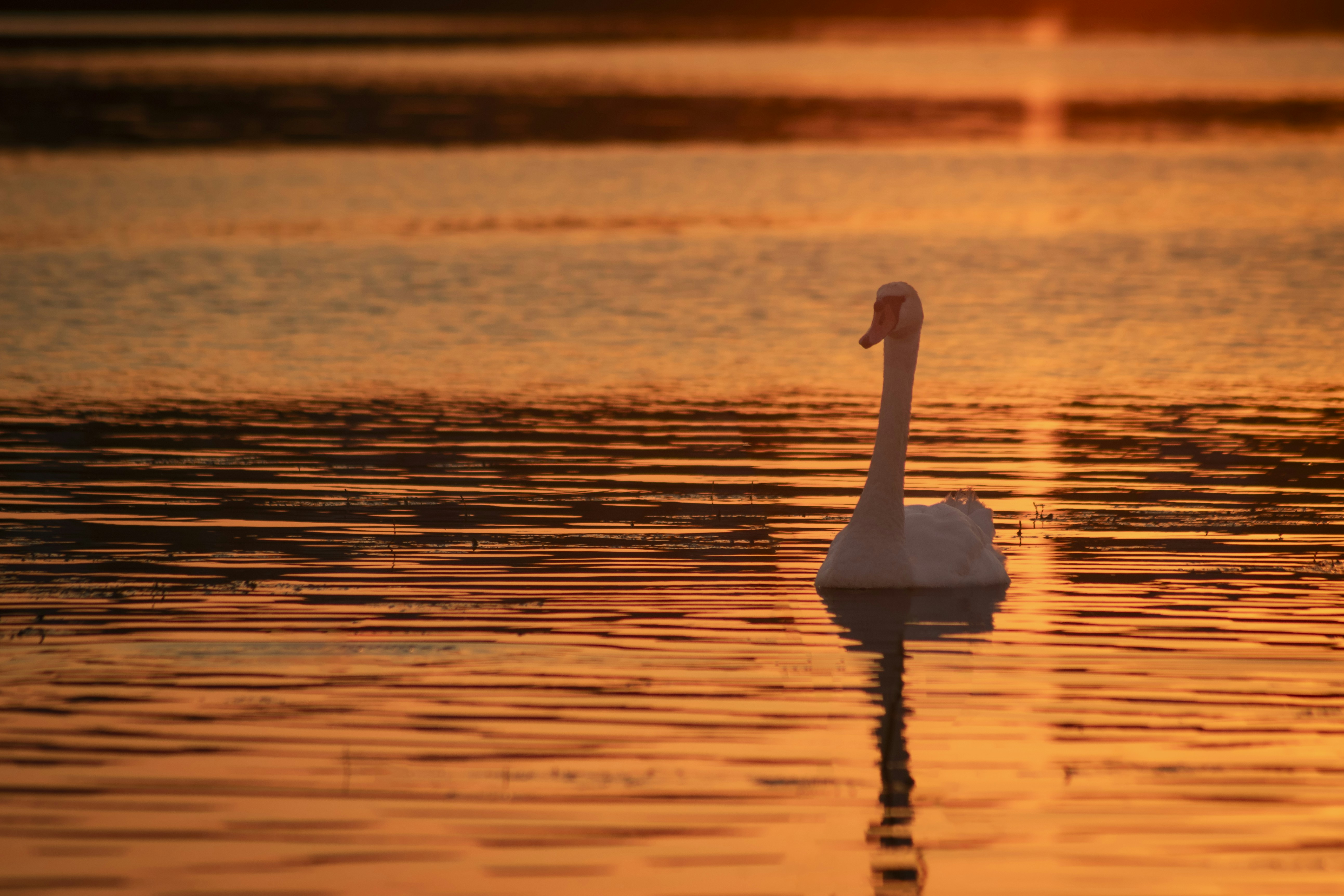 Photo by darkmoon_afa