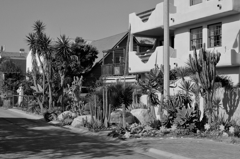 a black and white photo of a house and cactus garden