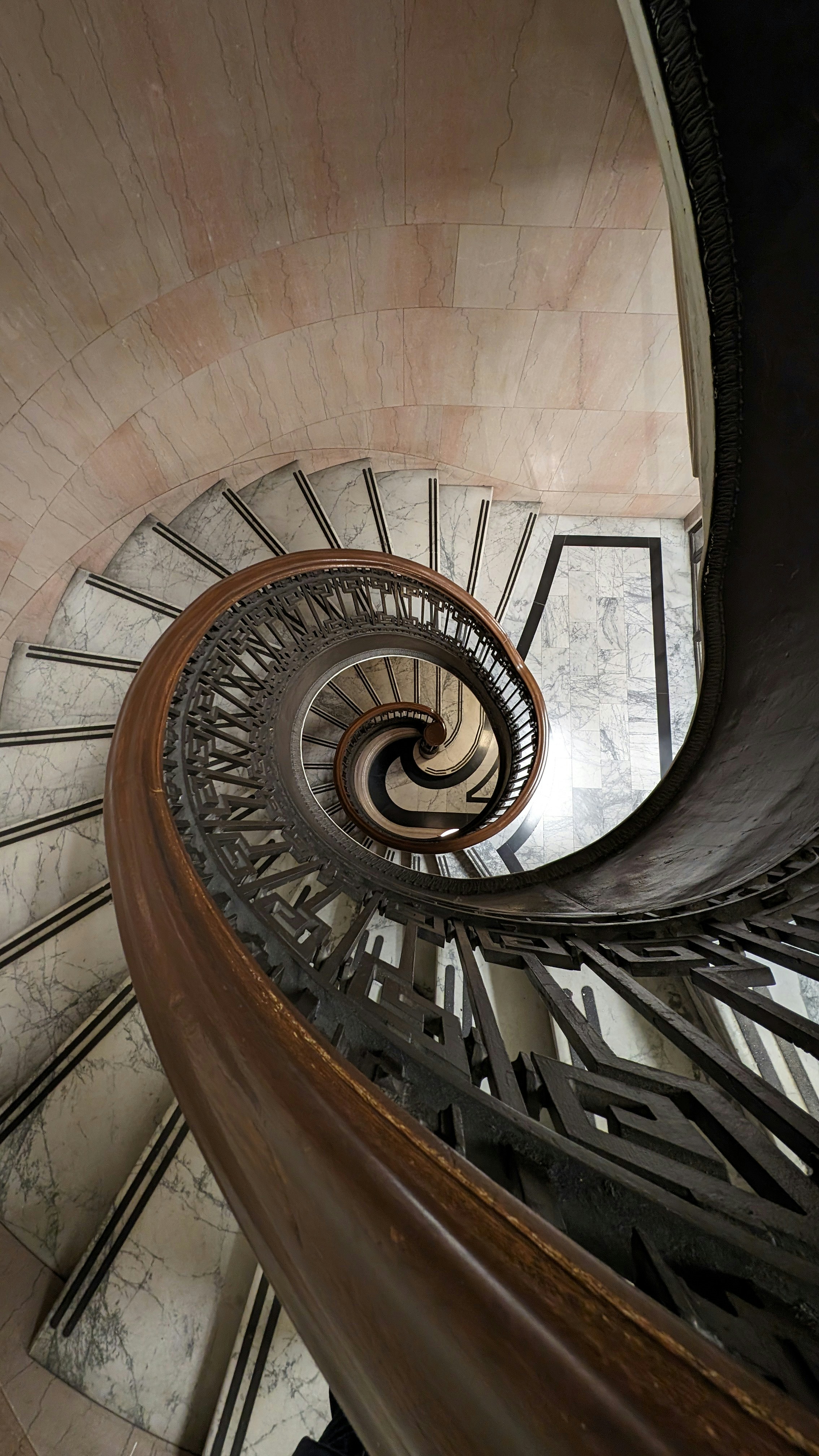 Photo by dublinranch