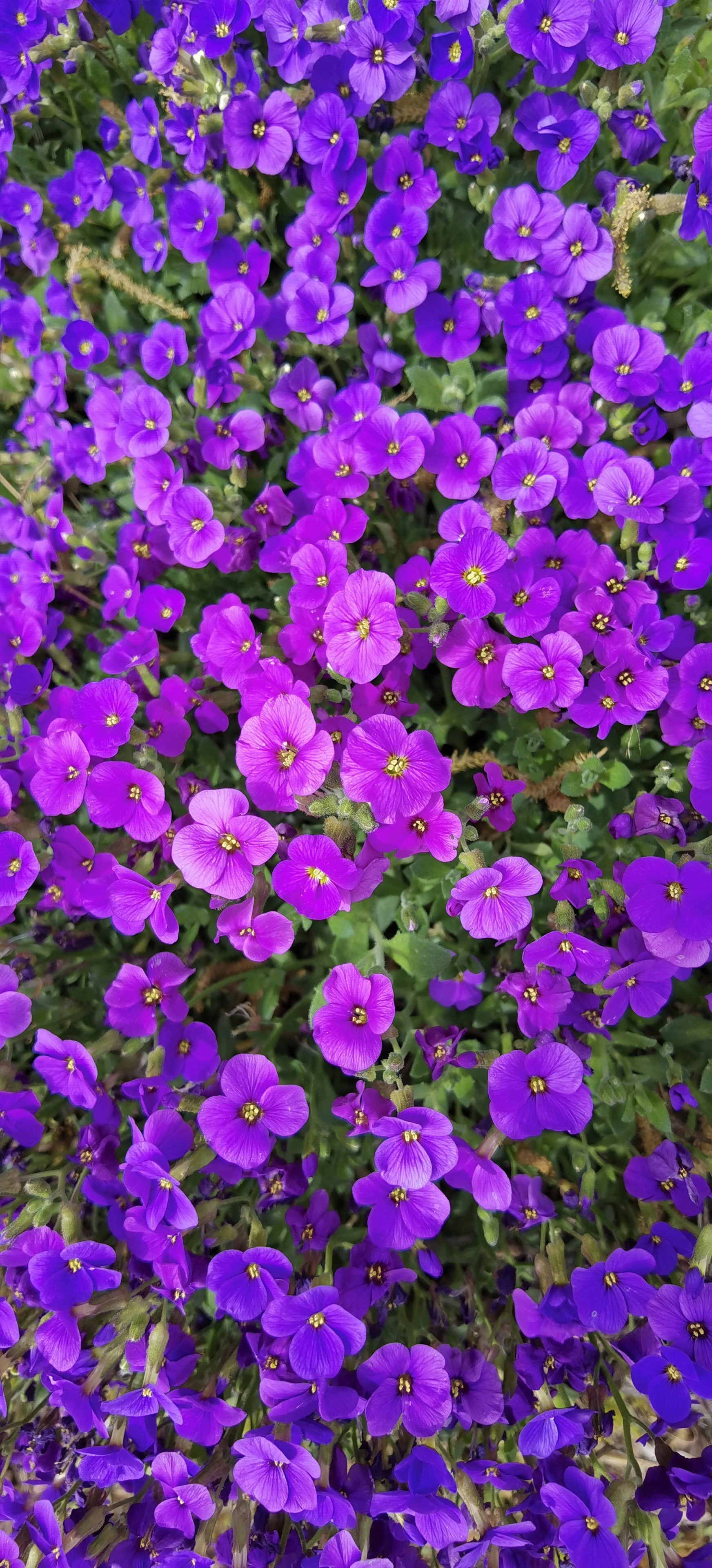 Photo by ildiariodibeth