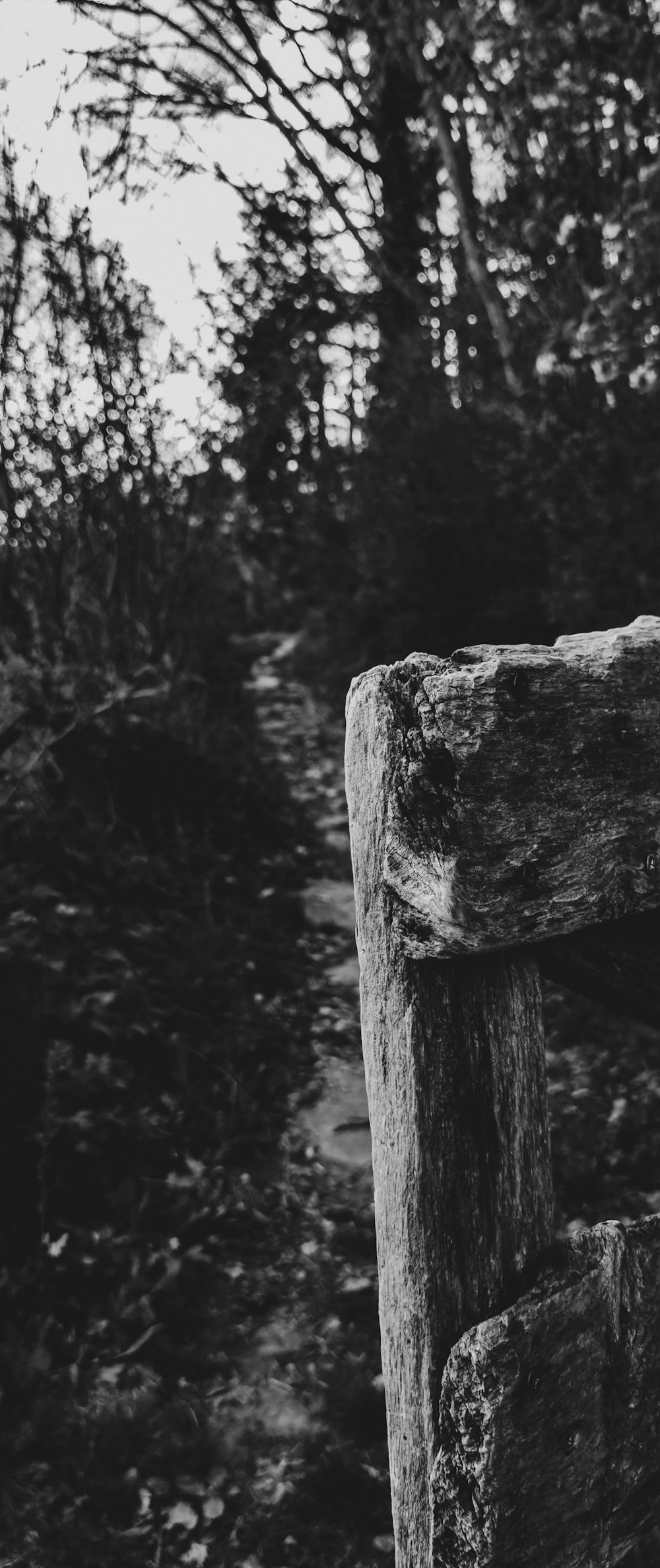 a black and white photo of a wooden fence