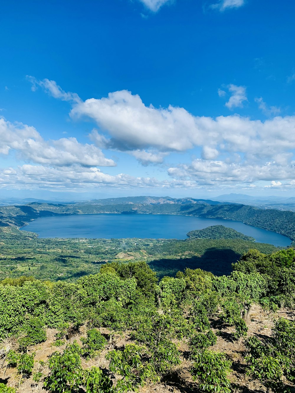 a scenic view of a lake surrounded by trees