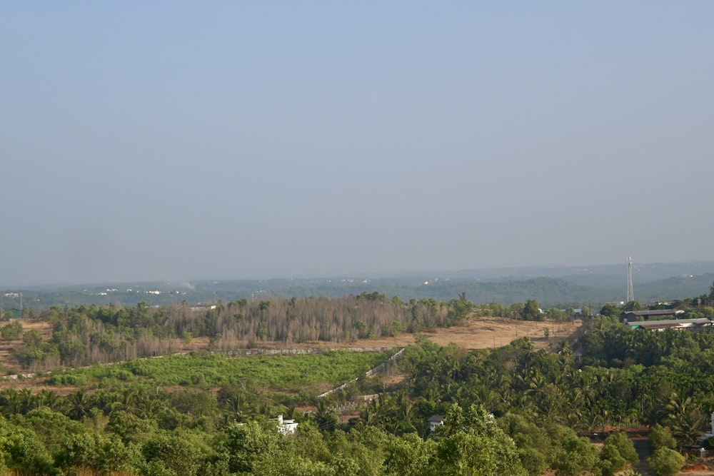 a view of a valley with trees in the foreground