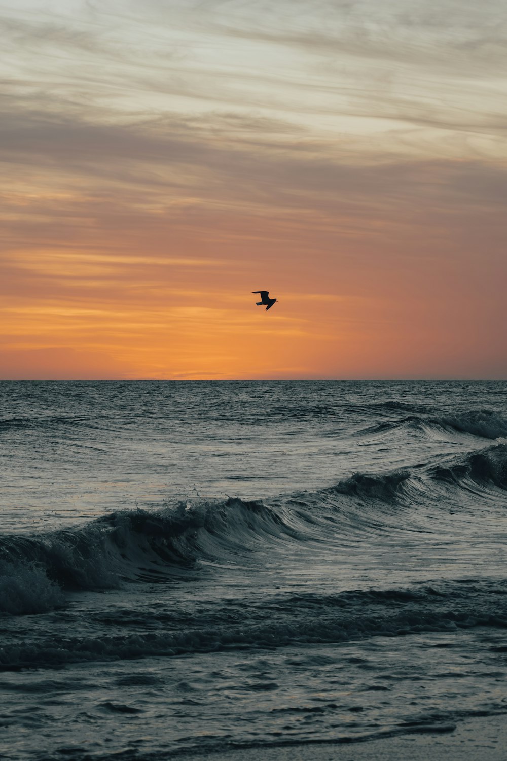 a bird flying over the ocean at sunset